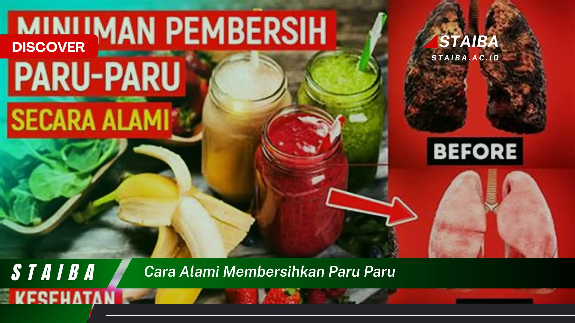 cara alami membersihkan paru paru