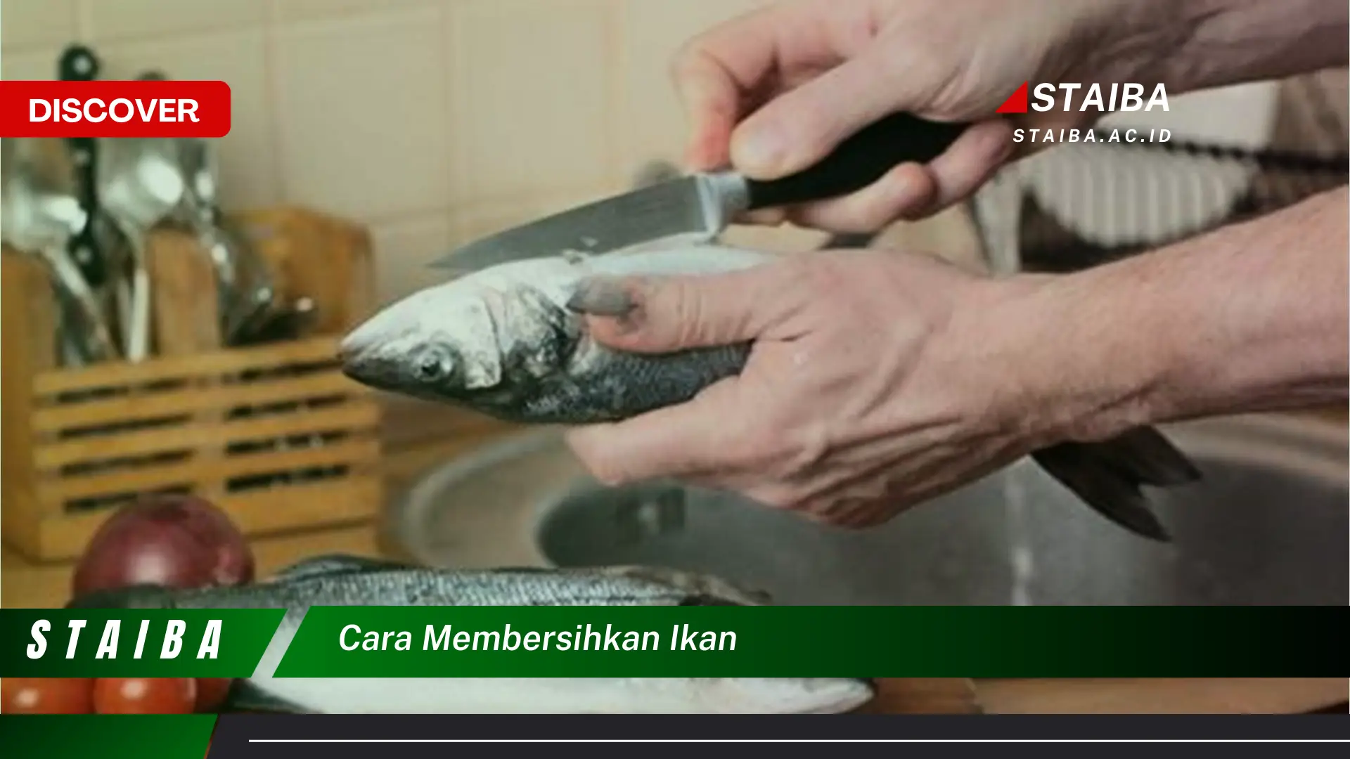 cara membersihkan ikan