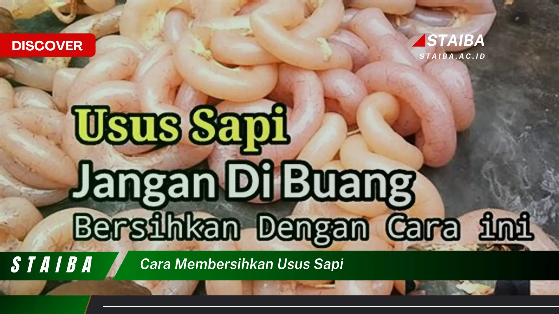 cara membersihkan usus sapi