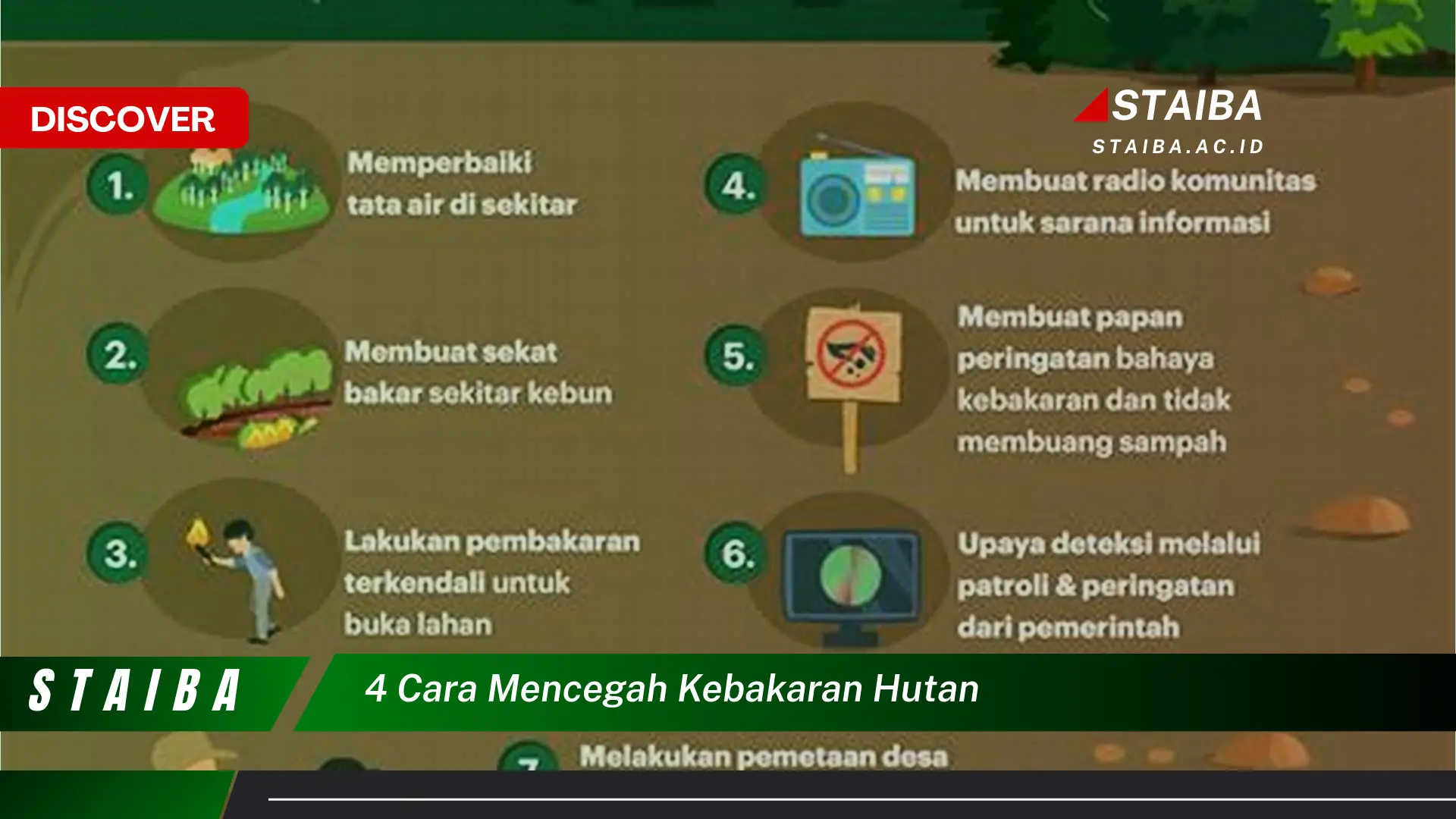 4 cara mencegah kebakaran hutan