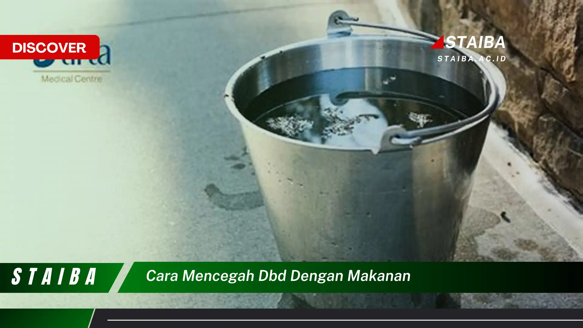 cara mencegah dbd dengan makanan