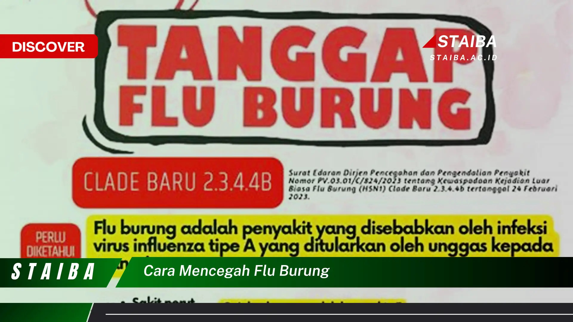 cara mencegah flu burung