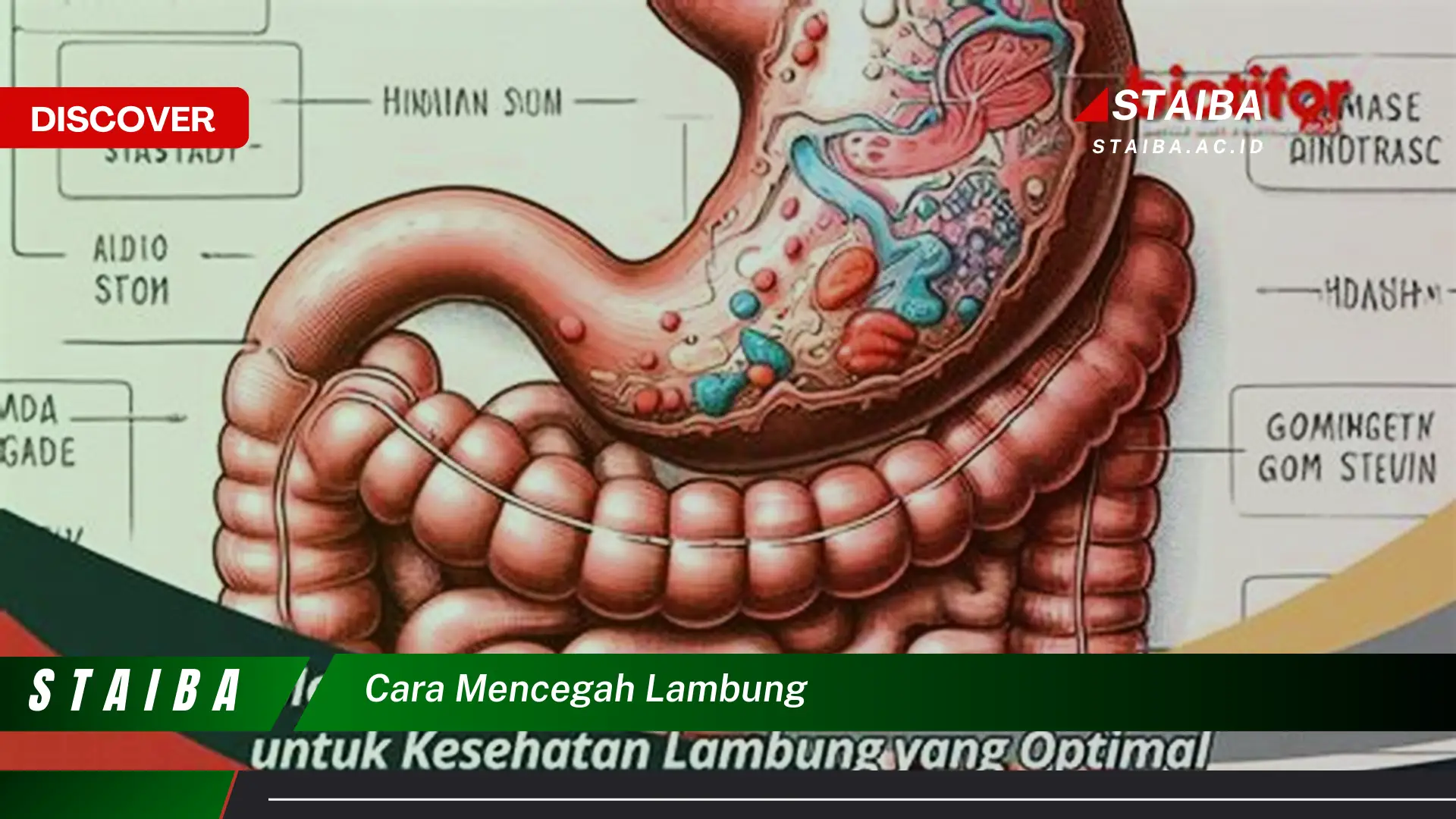 cara mencegah lambung