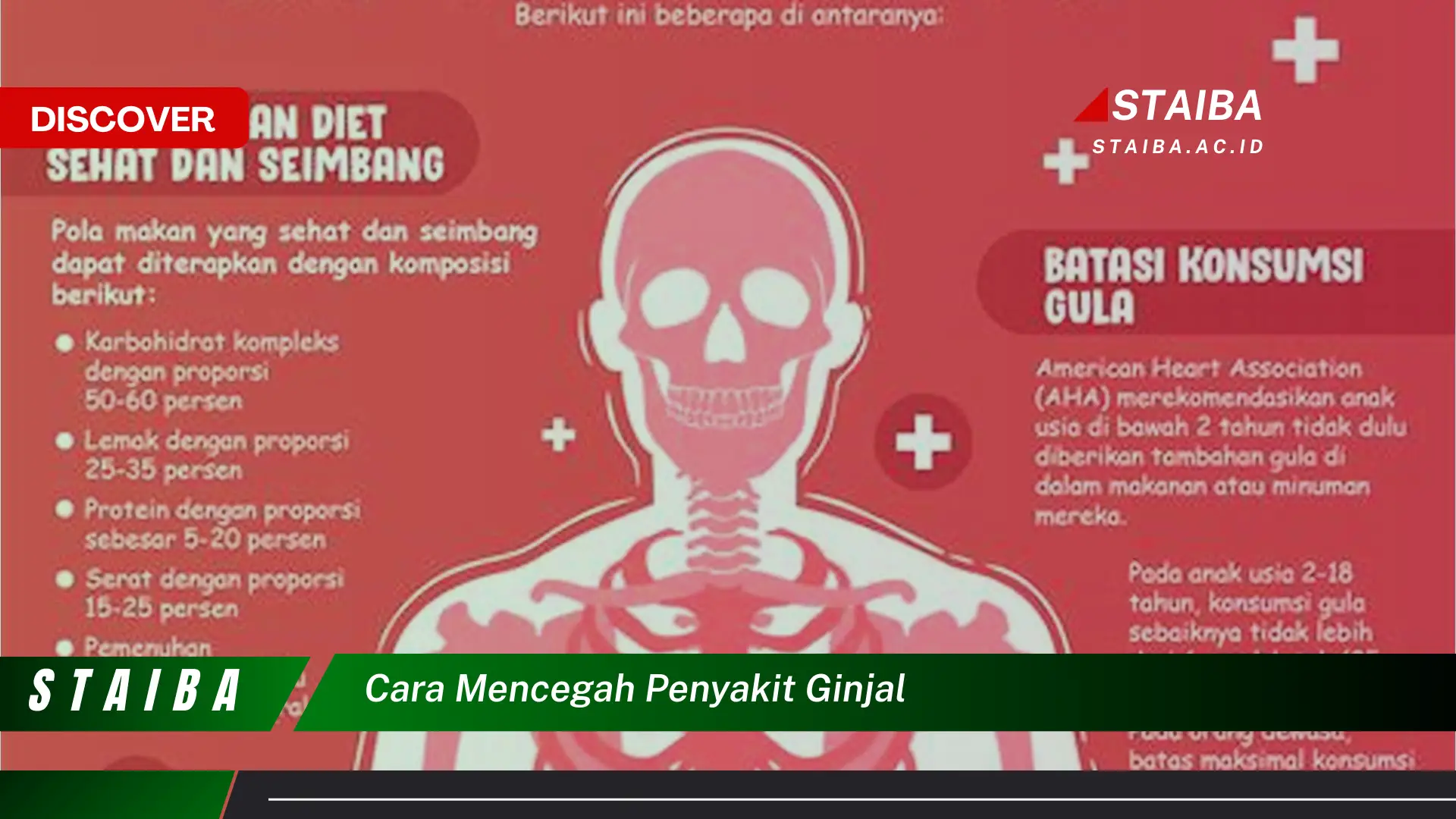 cara mencegah penyakit ginjal