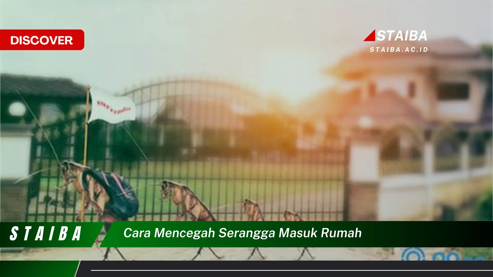 cara mencegah serangga masuk rumah