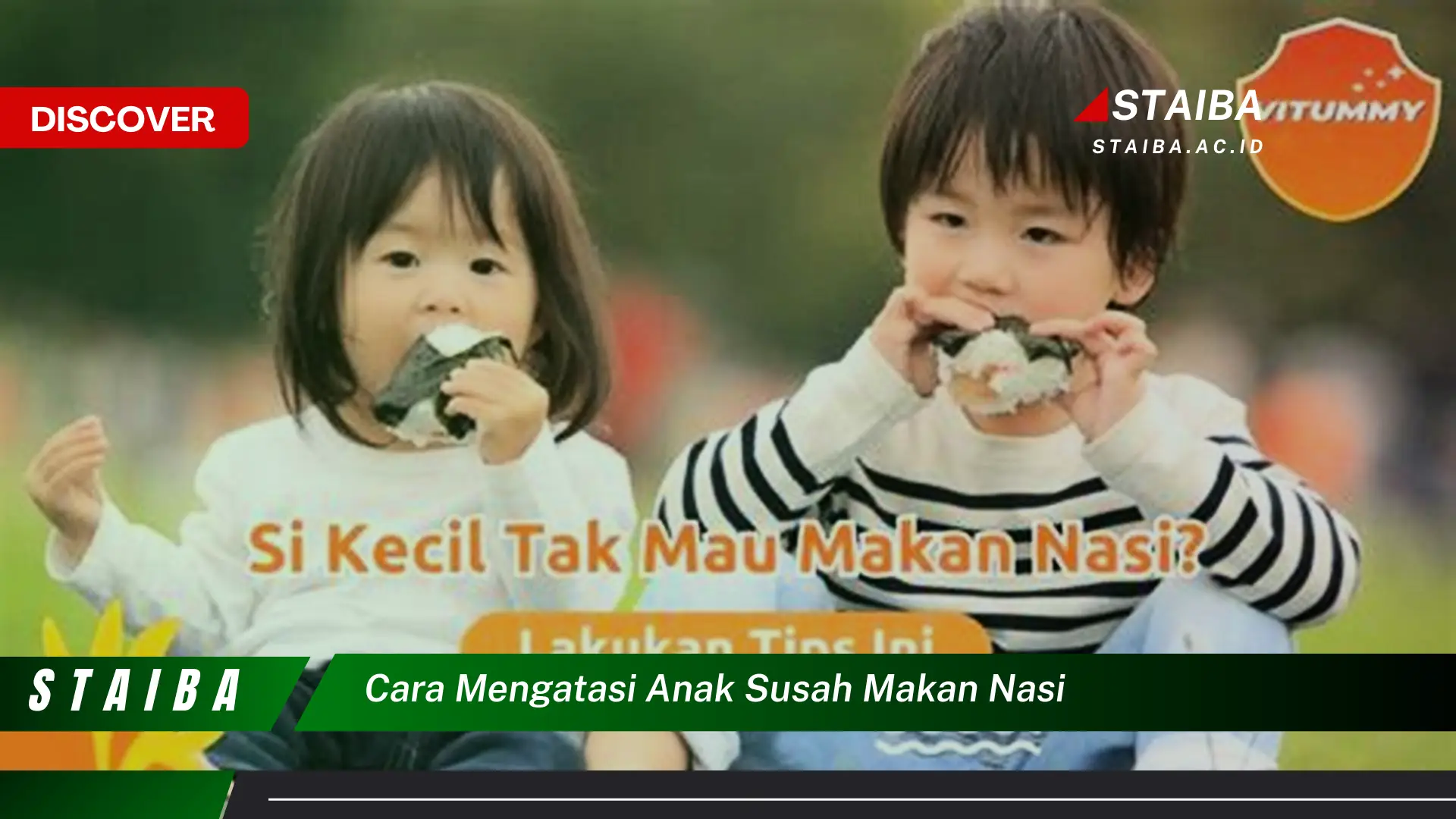 cara mengatasi anak susah makan nasi