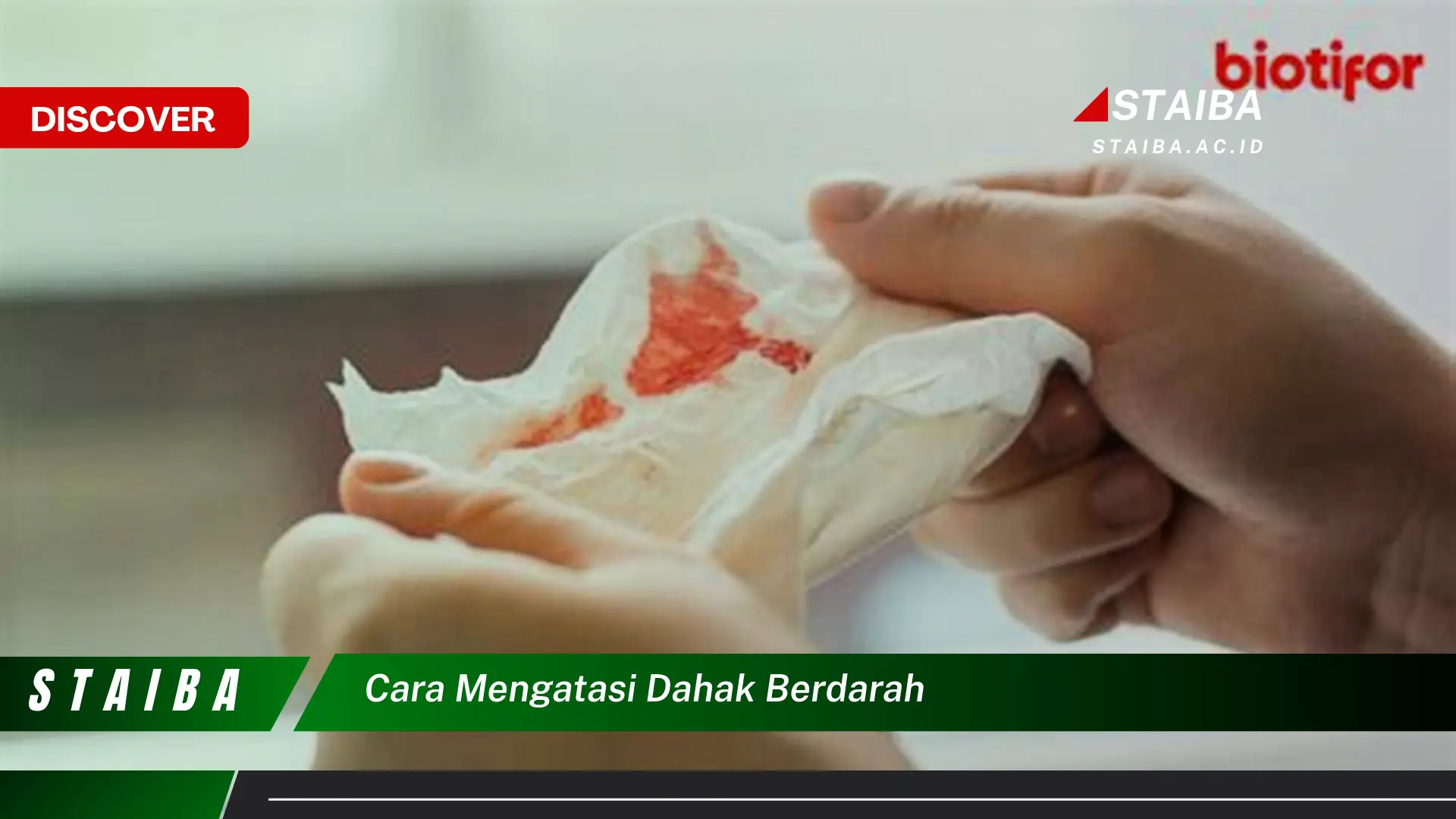 cara mengatasi dahak berdarah