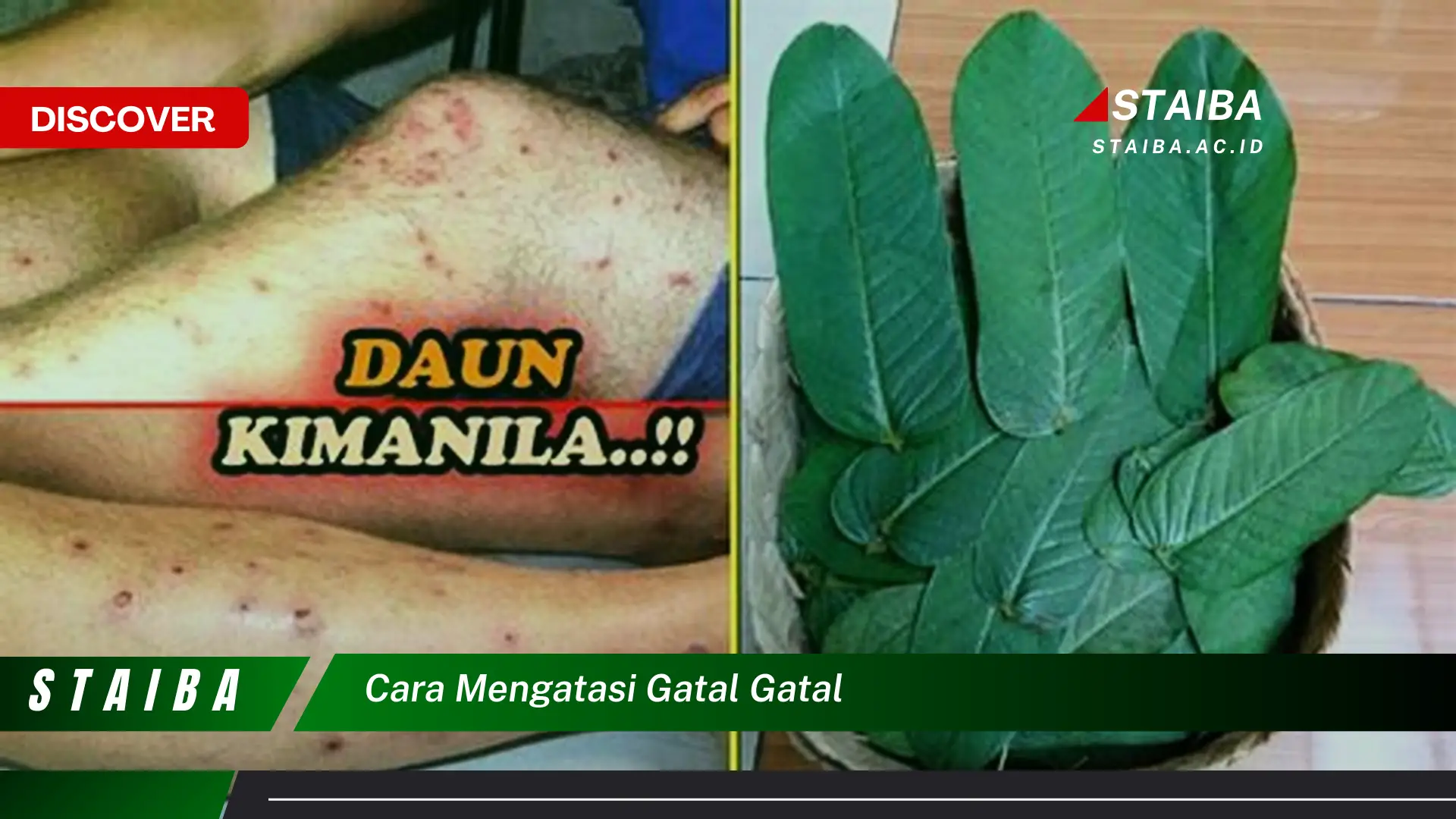 cara mengatasi gatal gatal