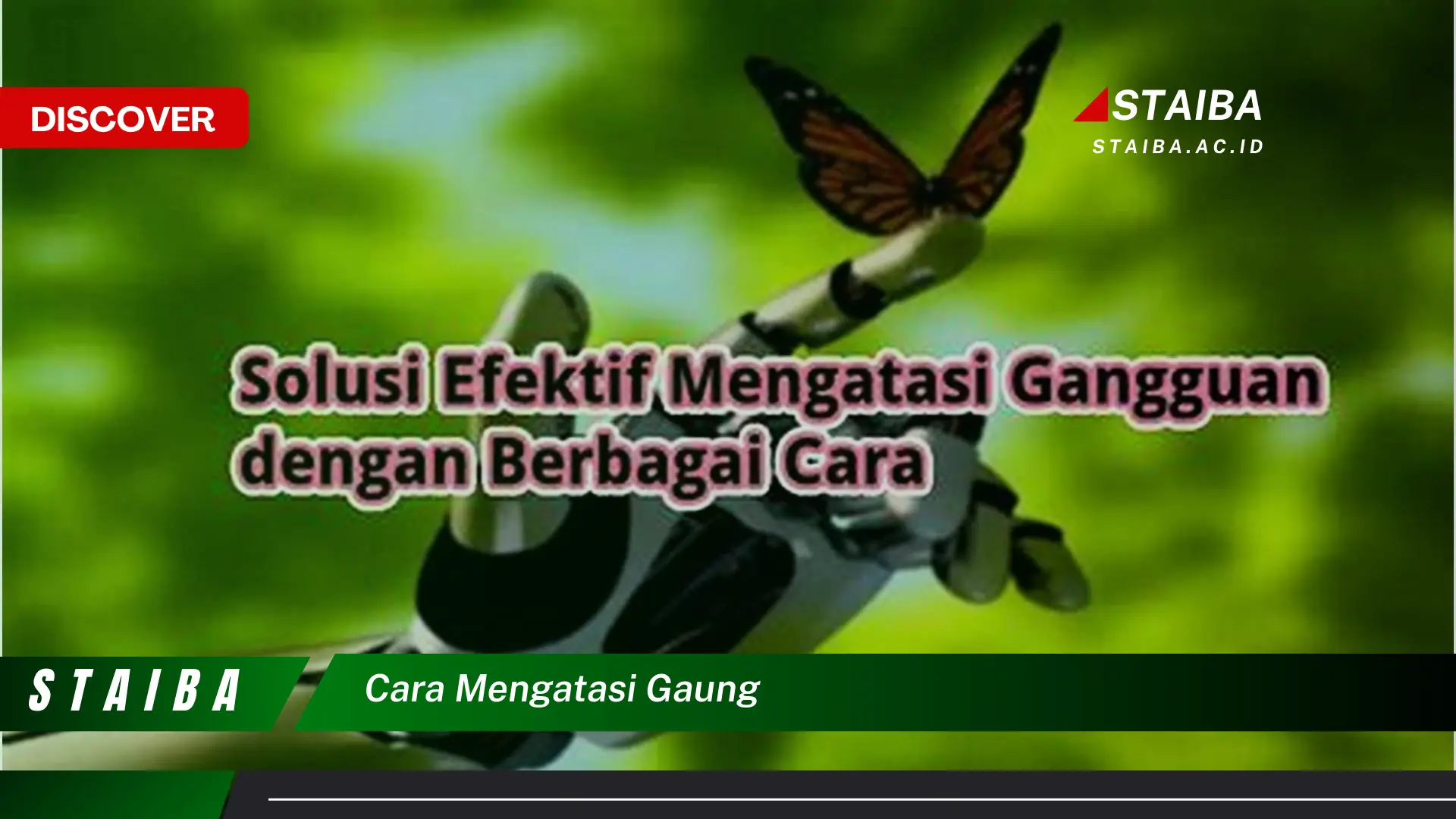 cara mengatasi gaung