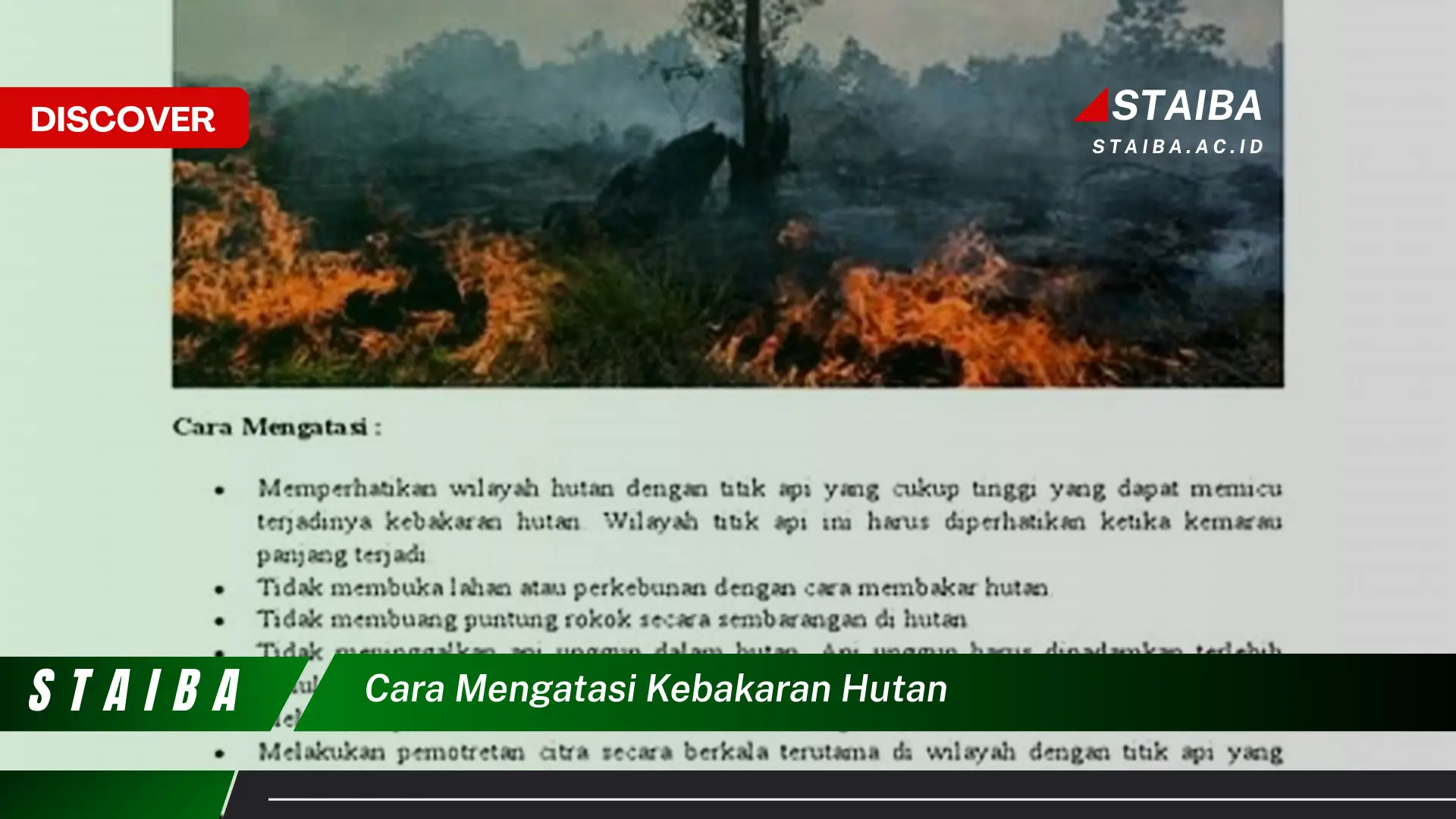 cara mengatasi kebakaran hutan