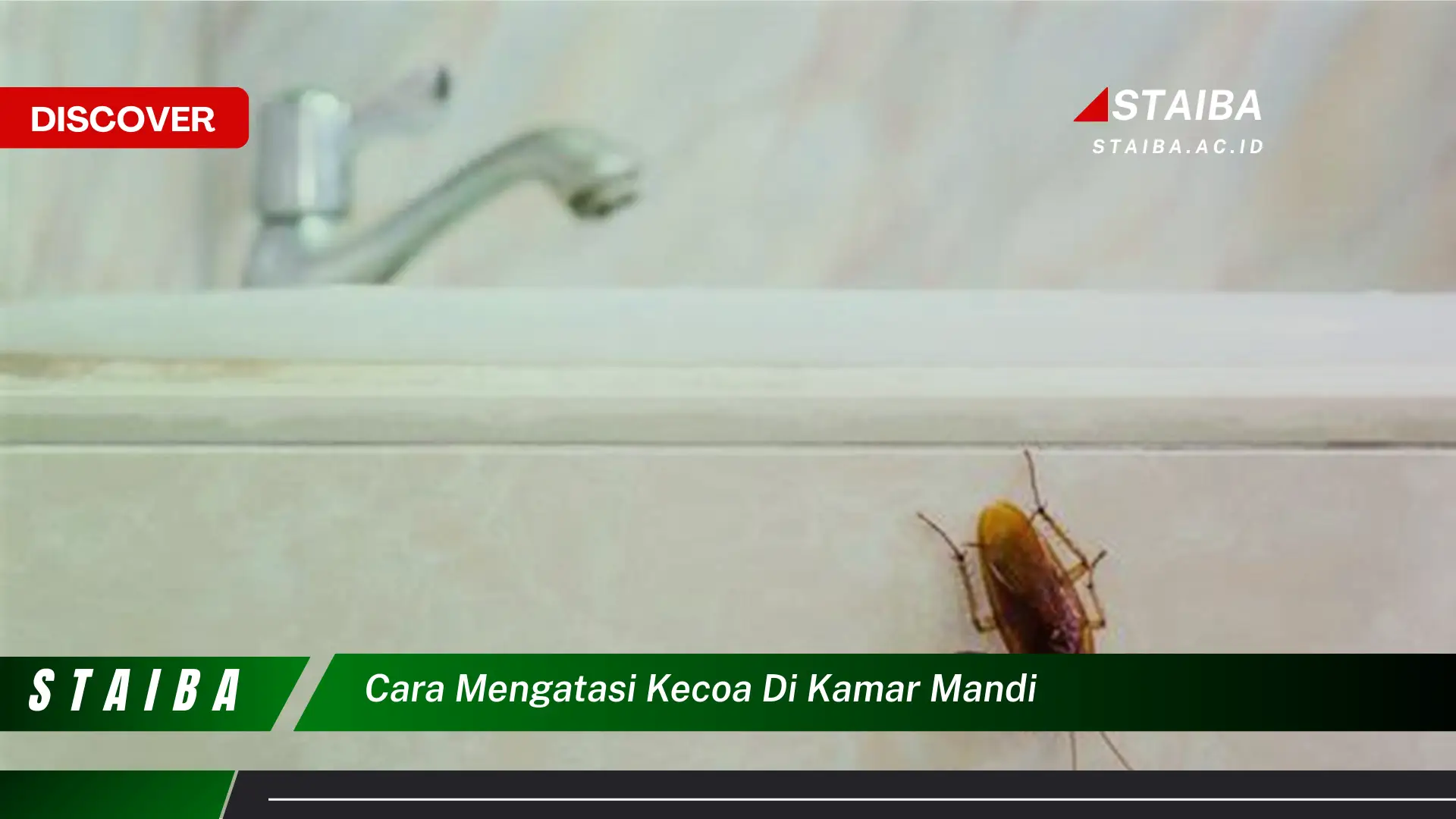 cara mengatasi kecoa di kamar mandi