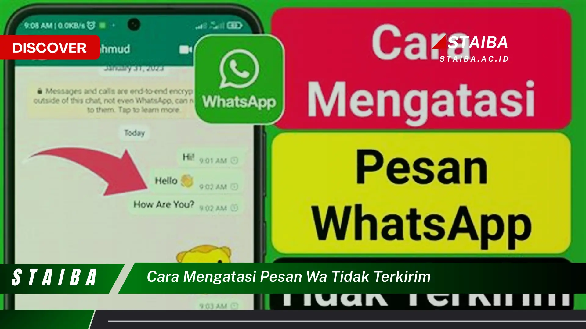 cara mengatasi pesan wa tidak terkirim
