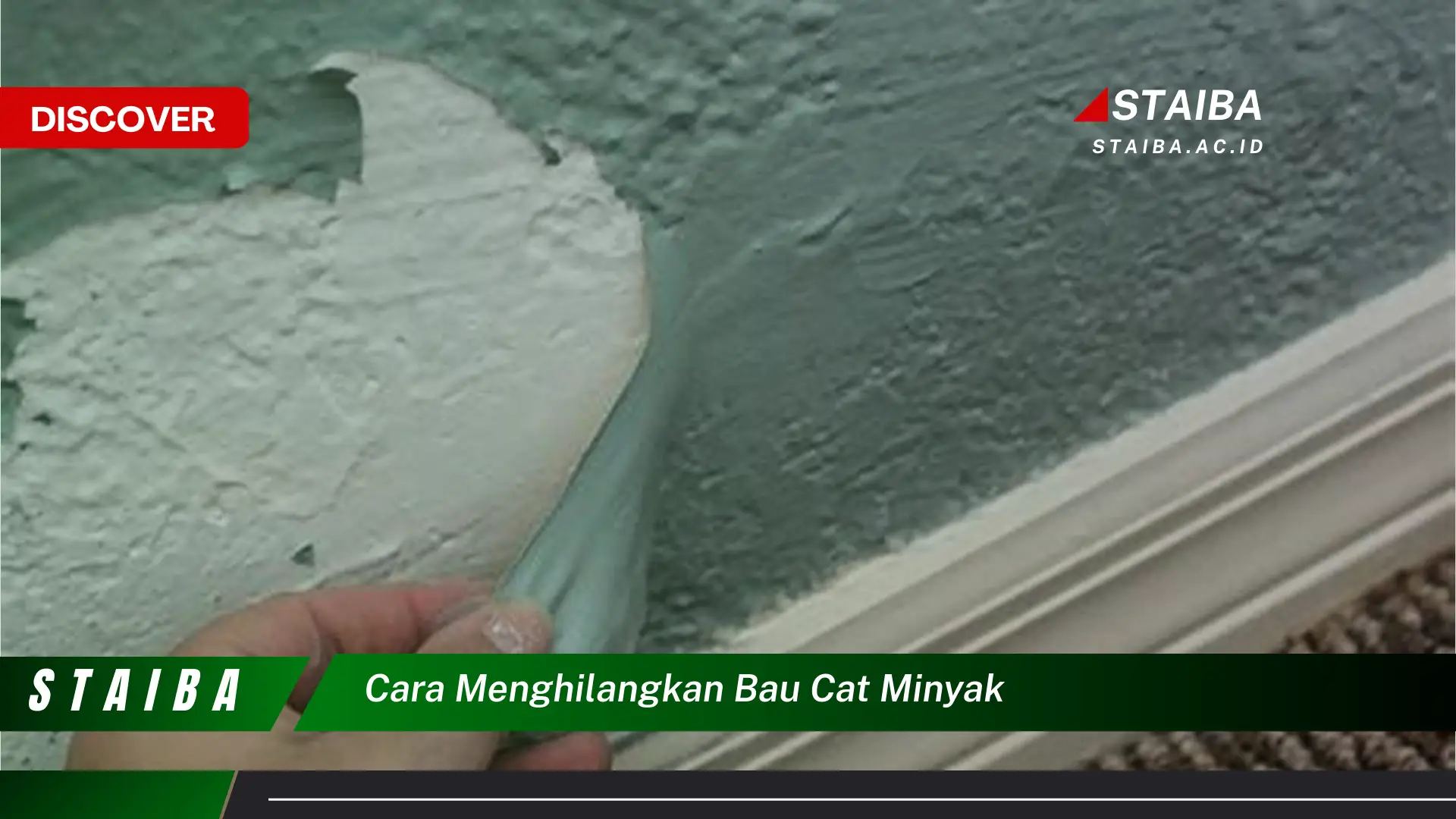 cara menghilangkan bau cat minyak