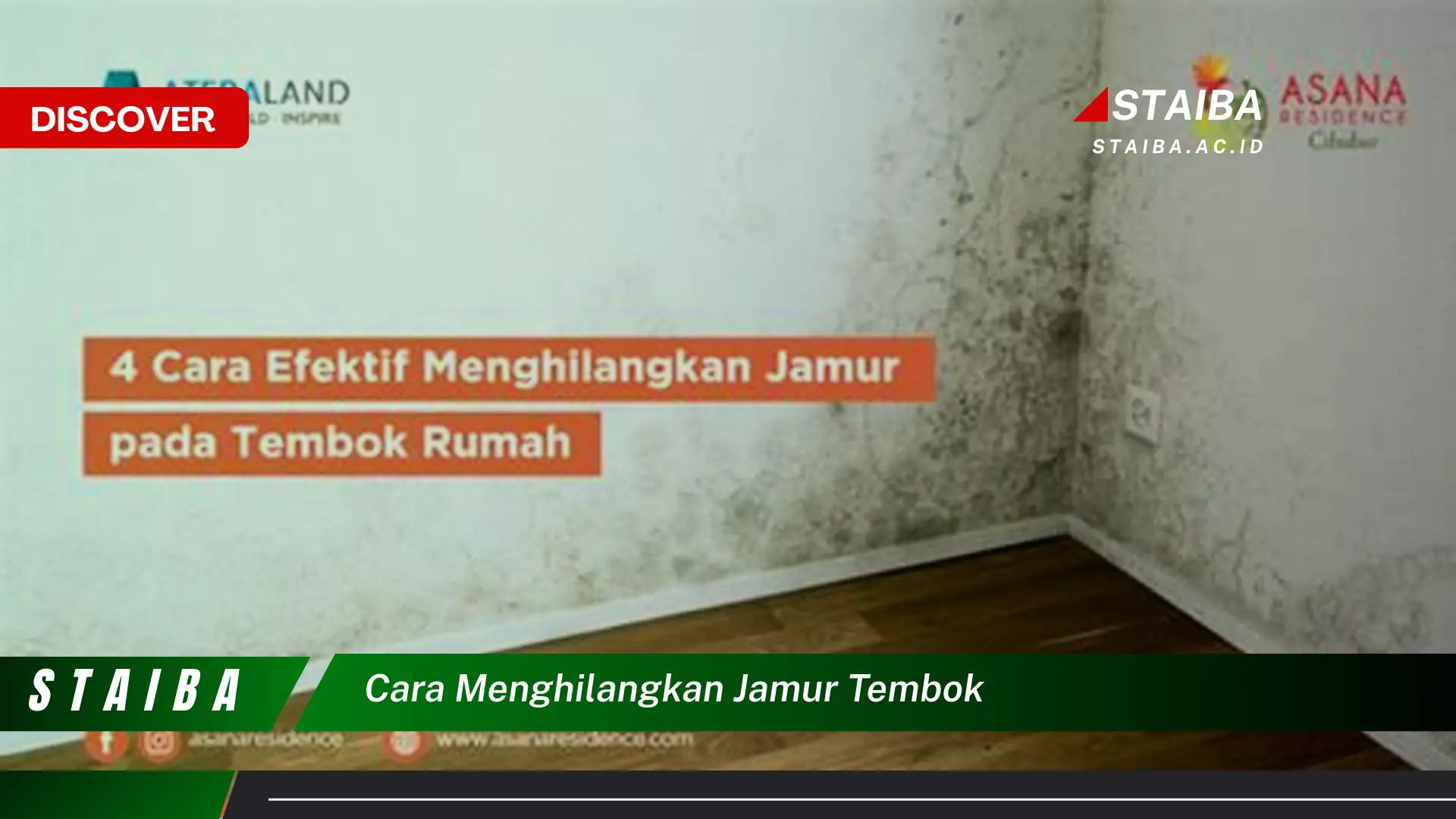 cara menghilangkan jamur tembok