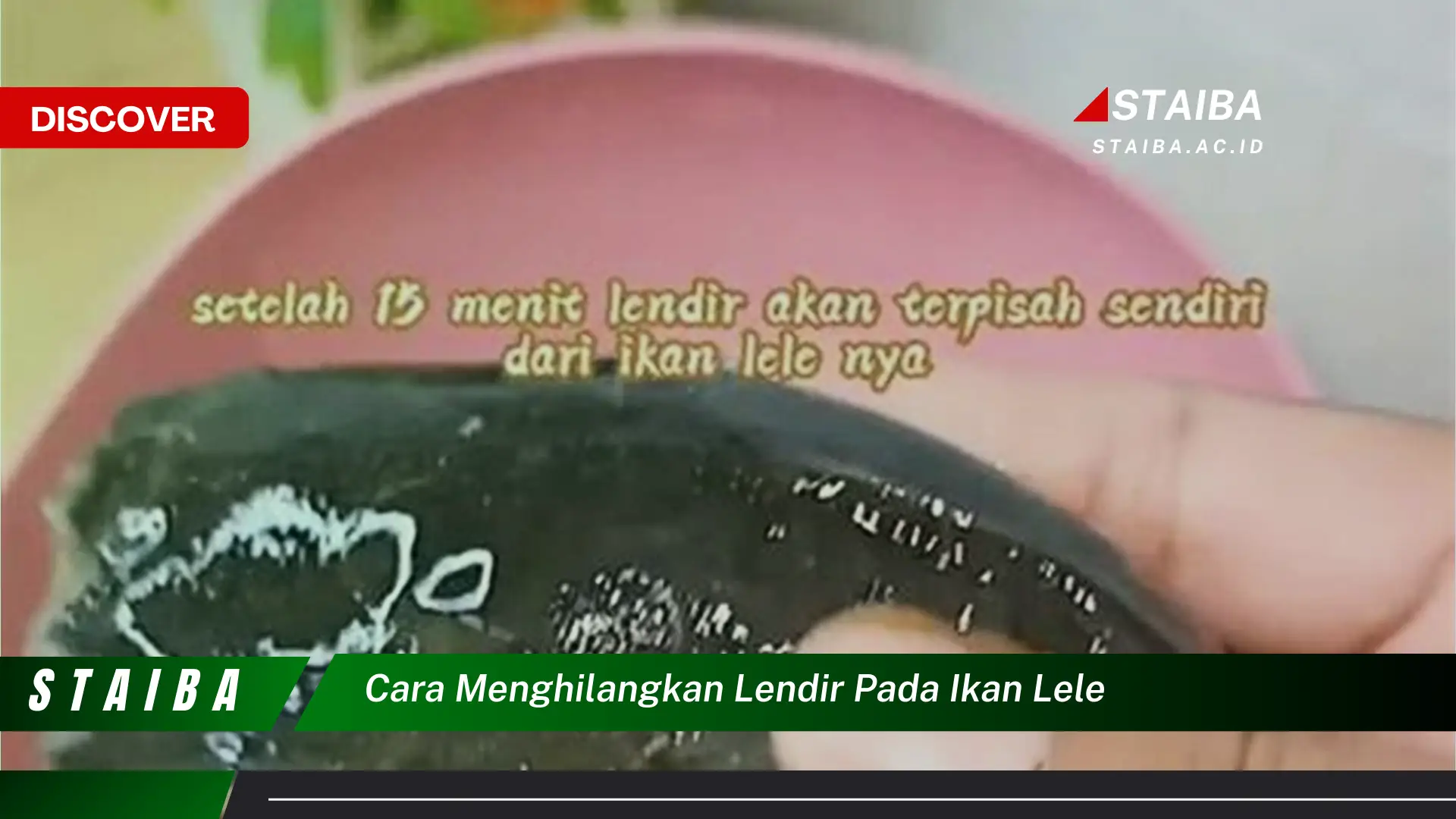 cara menghilangkan lendir pada ikan lele