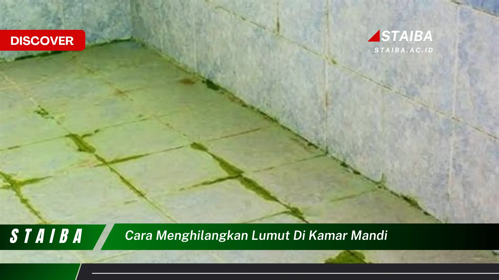 cara menghilangkan lumut di kamar mandi