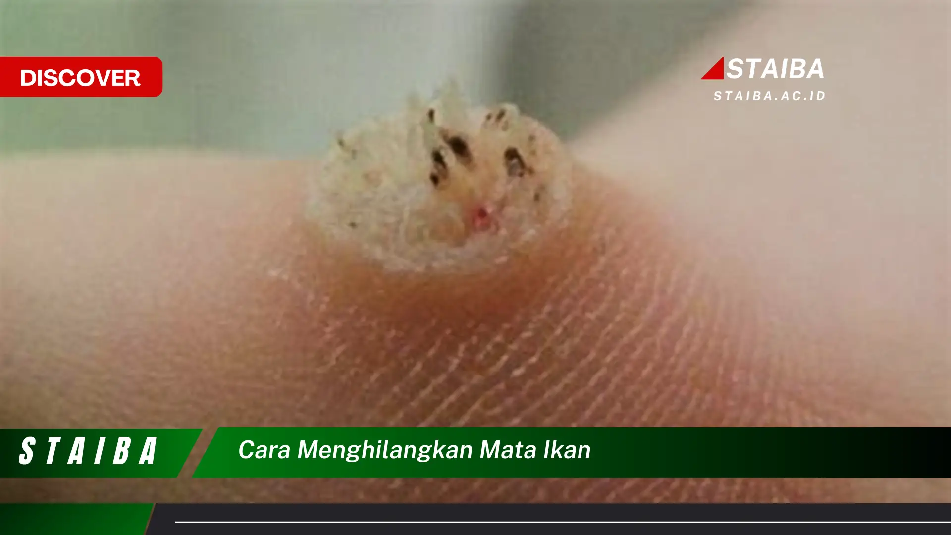 cara menghilangkan mata ikan