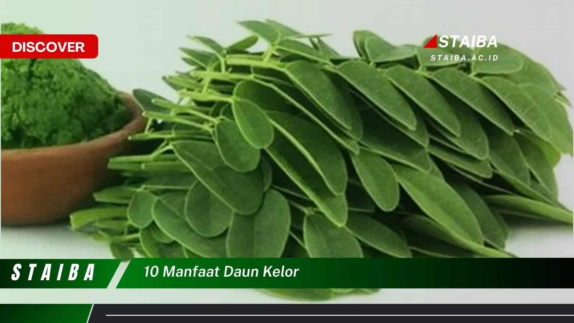 Ketahui 10 Manfaat Daun Kelor untuk Kesehatan Anda Ketahui 10 Manfaat Daun Kelor untuk Kesehatan Anda
