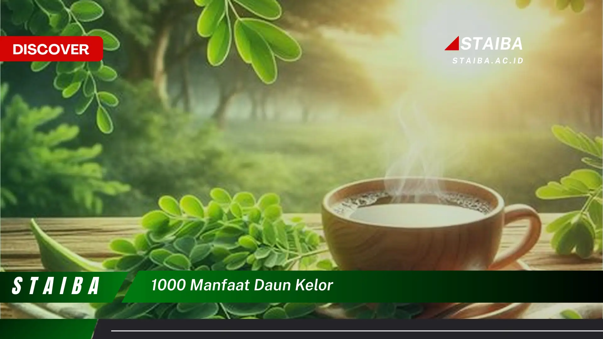 Ketahui 1000 Manfaat Daun Kelor untuk Kesehatan, Kecantikan, dan Lainnya