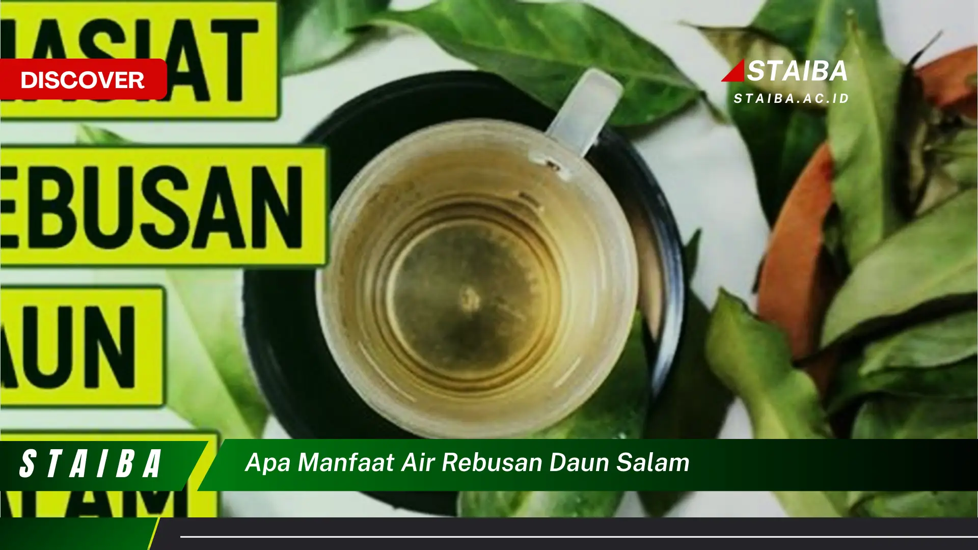 Ketahui 8 Manfaat Air Rebusan Daun Salam untuk Kesehatan Tubuh Anda