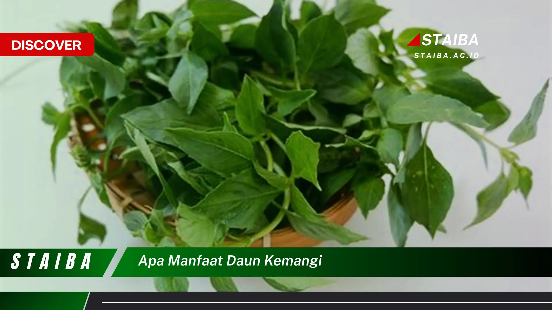 Ketahui 9 Manfaat Daun Kemangi untuk Kesehatan, Kecantikan, dan Masakan