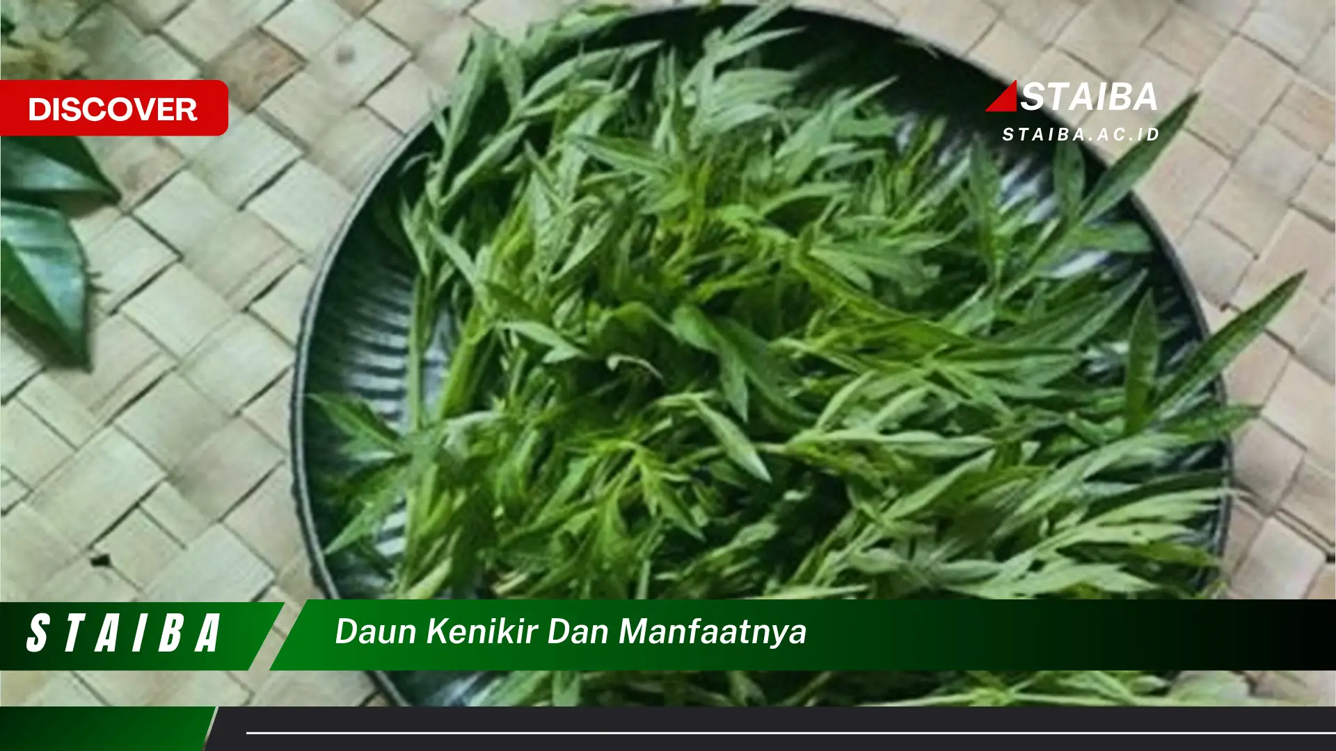 Ketahui 10 Manfaat Daun Kenikir untuk Kesehatan Tubuh Anda