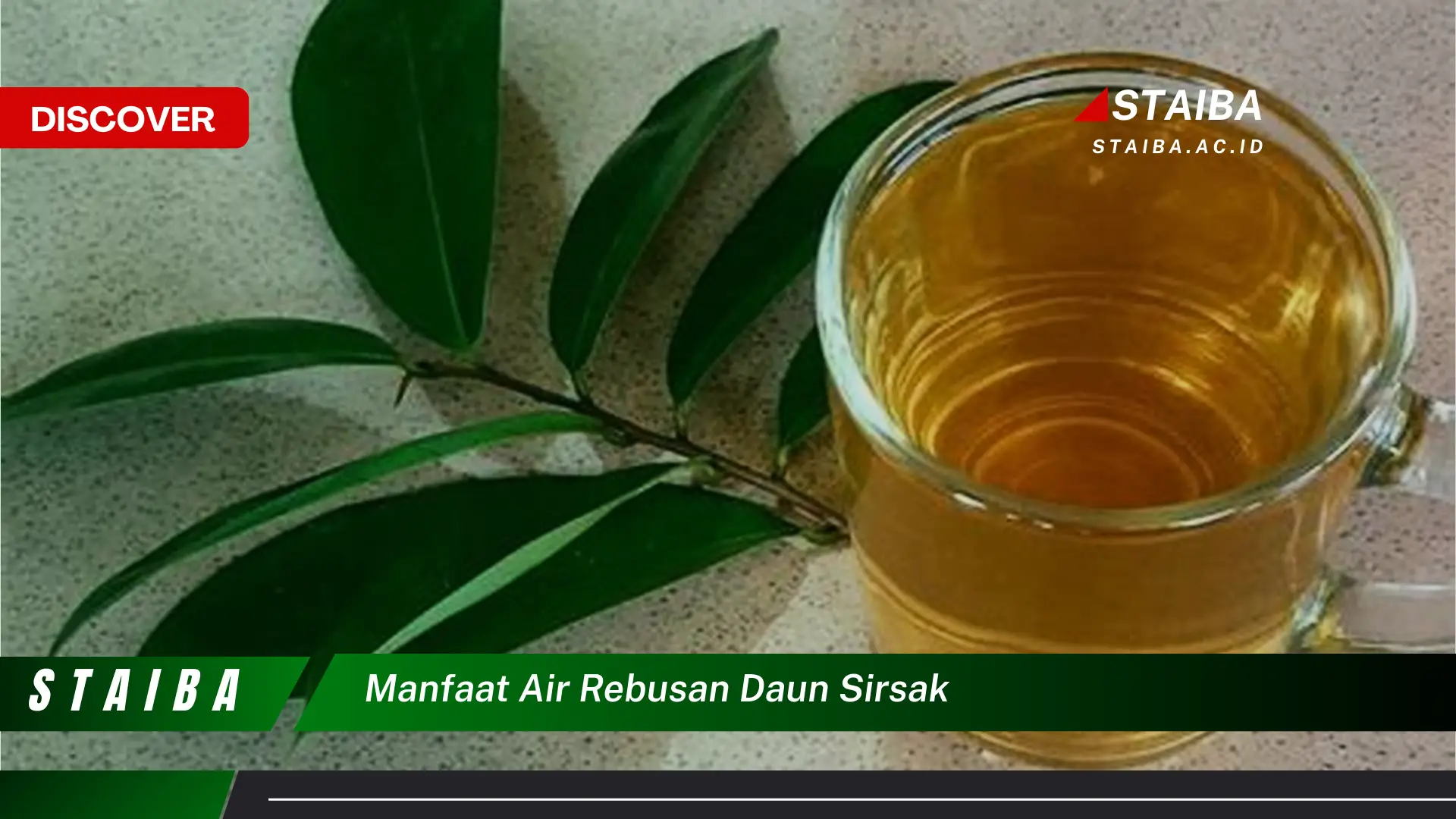 Ketahui 10 Manfaat Air Rebusan Daun Sirsak yang Jarang Diketahui