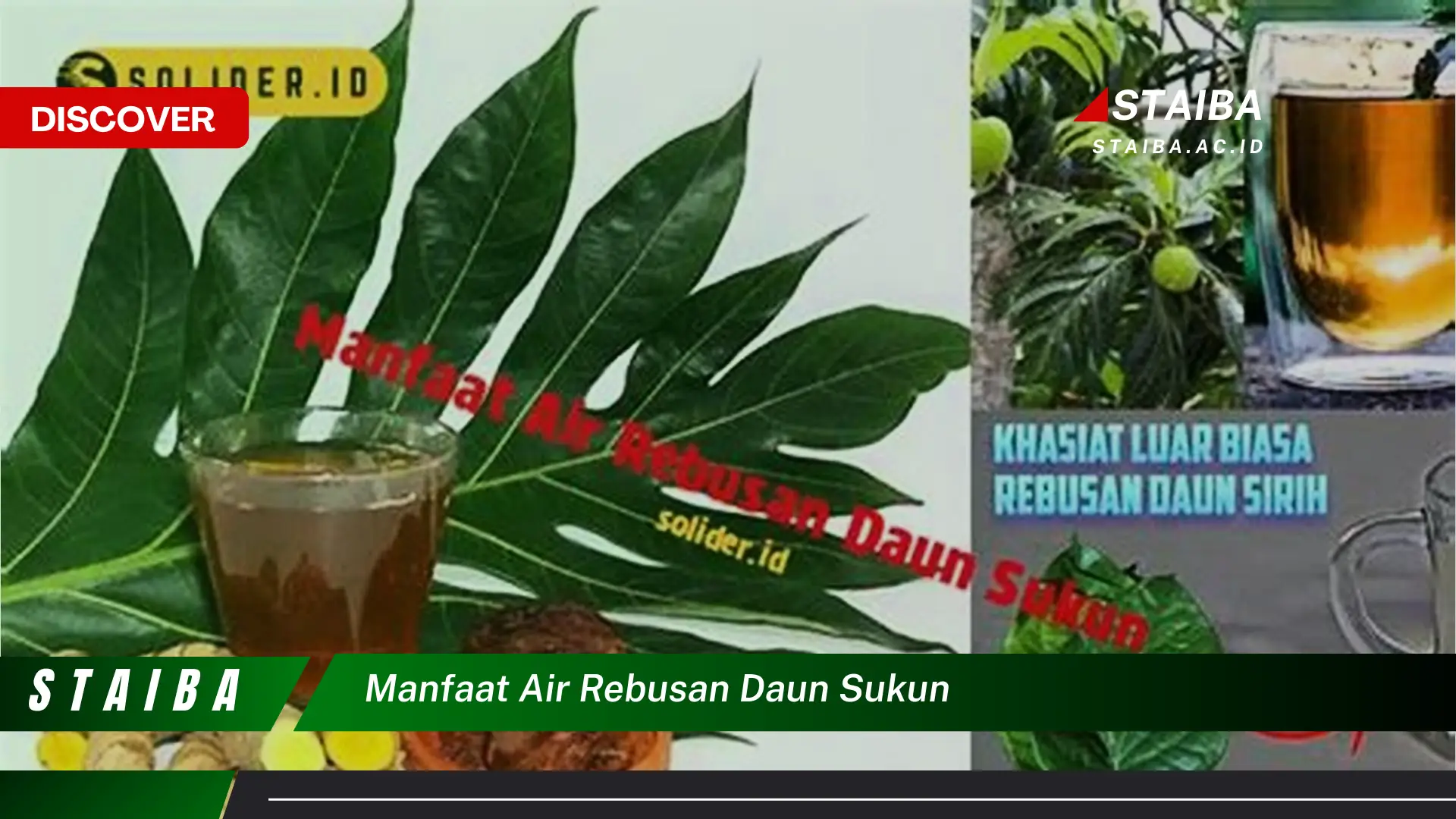 Ketahui 8 Manfaat Air Rebusan Daun Sukun untuk Kesehatan Tubuh Anda