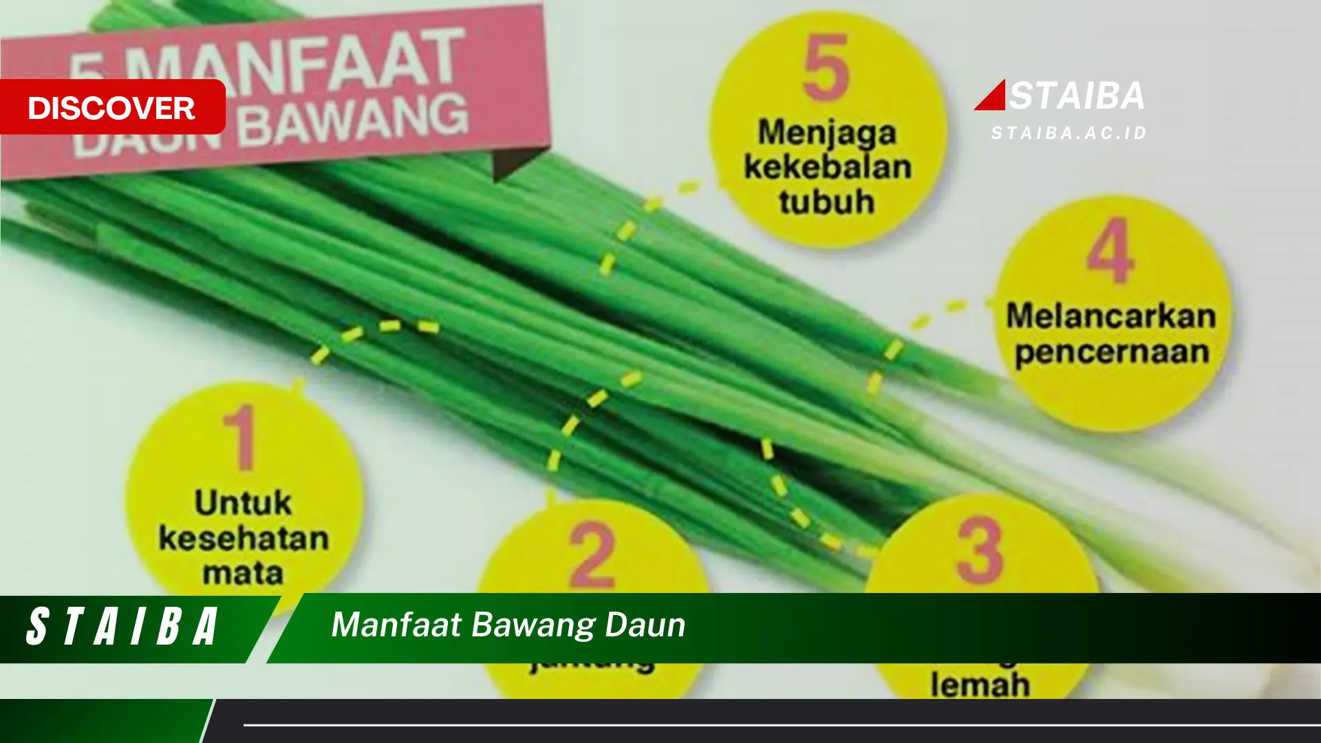 Ketahui 8 Manfaat Bawang Daun untuk Kesehatan, Kecantikan, dan Masakan Sehari,hari