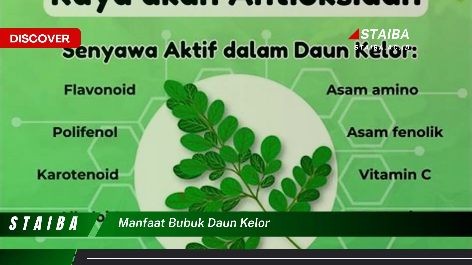 Temukan 10 Manfaat Ajaib Bubuk Daun Kelor untuk Kesehatan