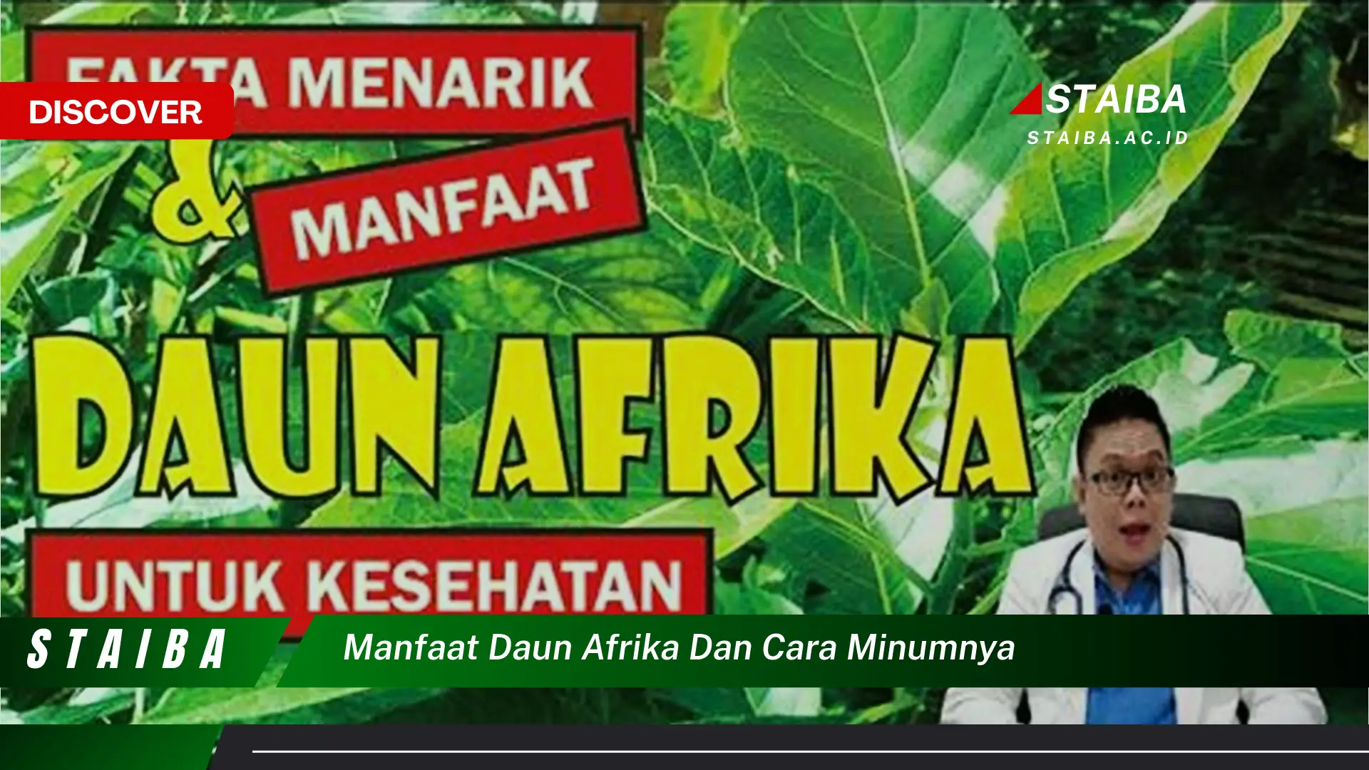 Ketahui 9 Manfaat Daun Afrika untuk Kesehatan dan Cara Minum yang Tepat