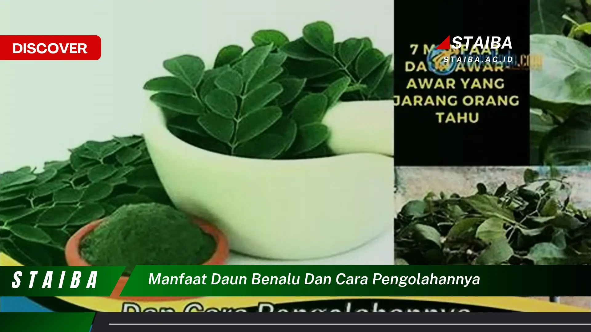 Temukan Manfaat Daun Benalu yang Belum Banyak Orang Tahu