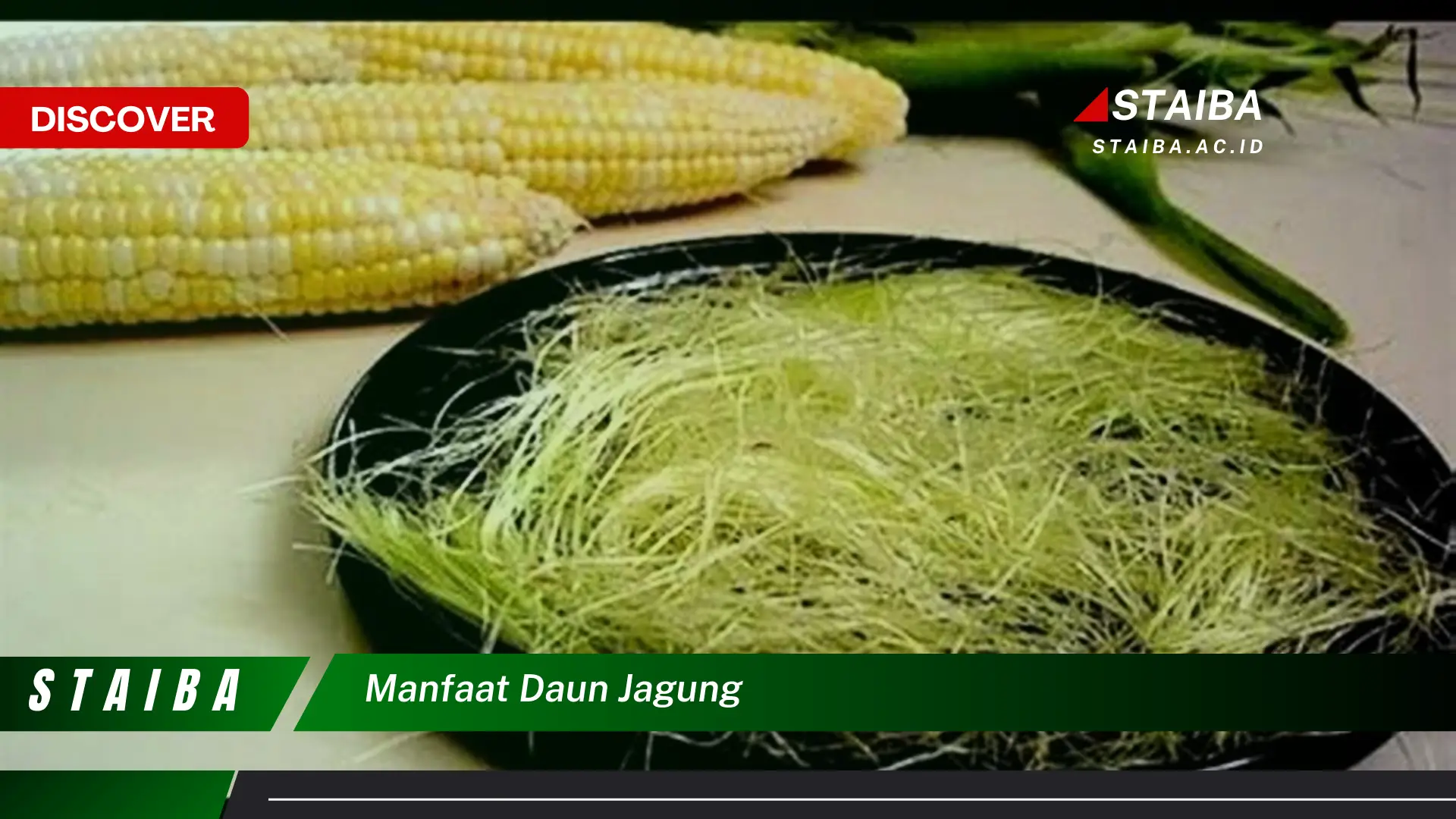 Ketahui Manfaat Daun Jagung untuk Kesehatan Anda