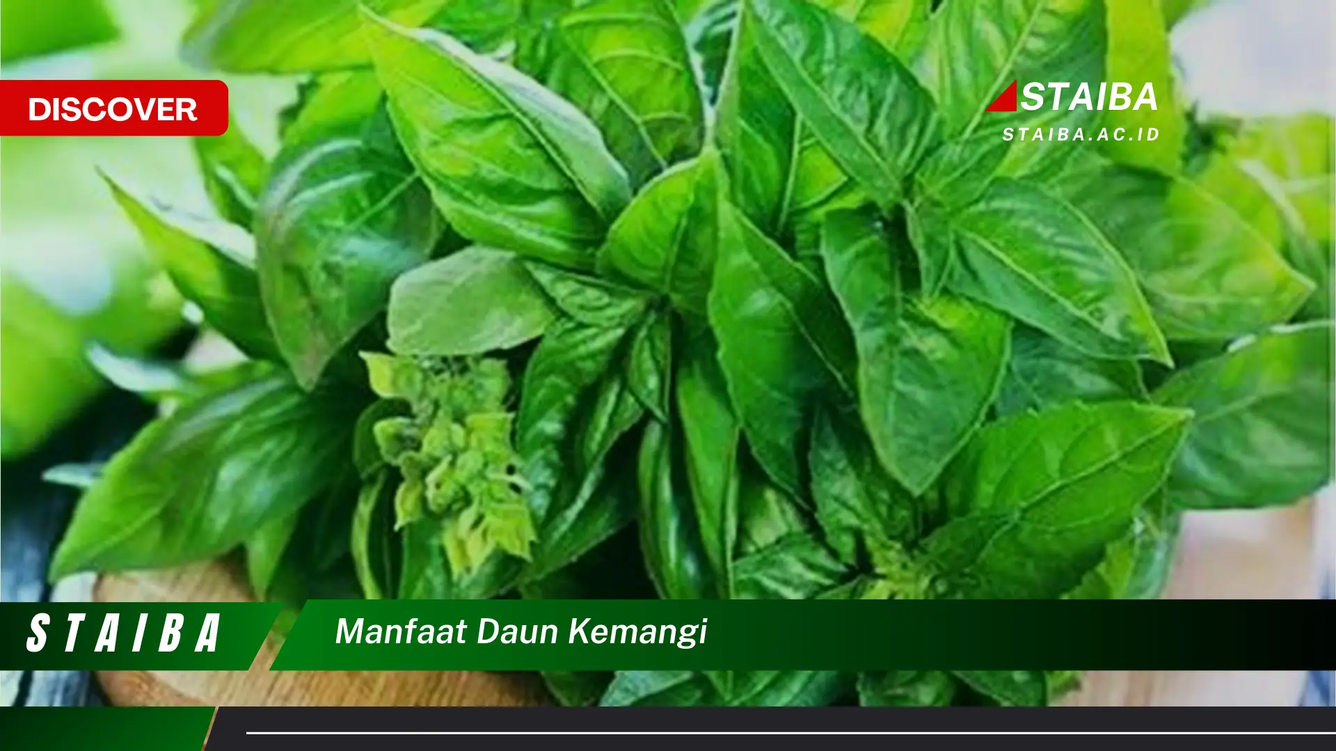 Ketahui 9 Manfaat Daun Kemangi untuk Kesehatan, Kecantikan, dan Masakan