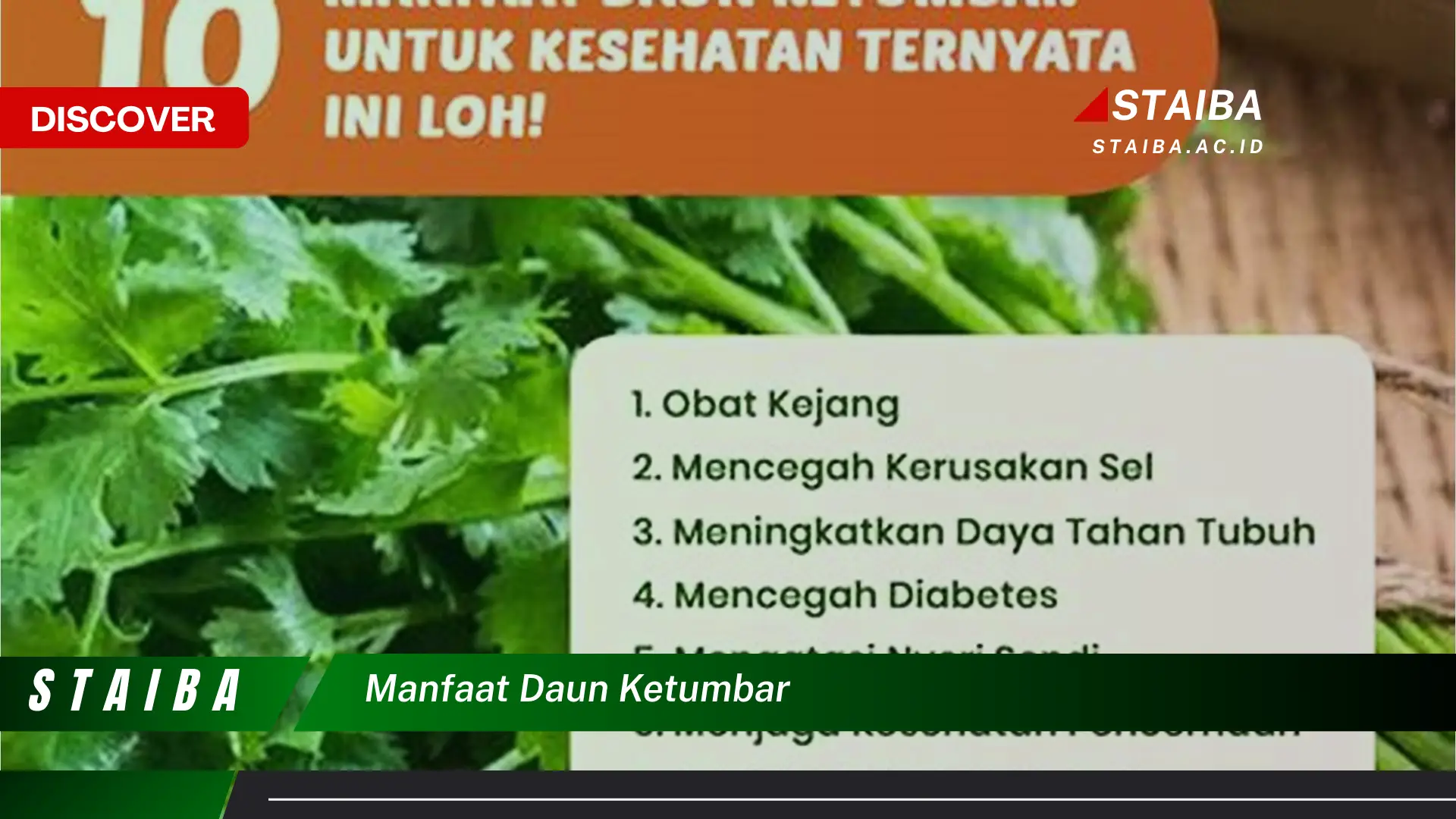 Ketahui 7 Manfaat Daun Ketumbar yang Jarang Diketahui