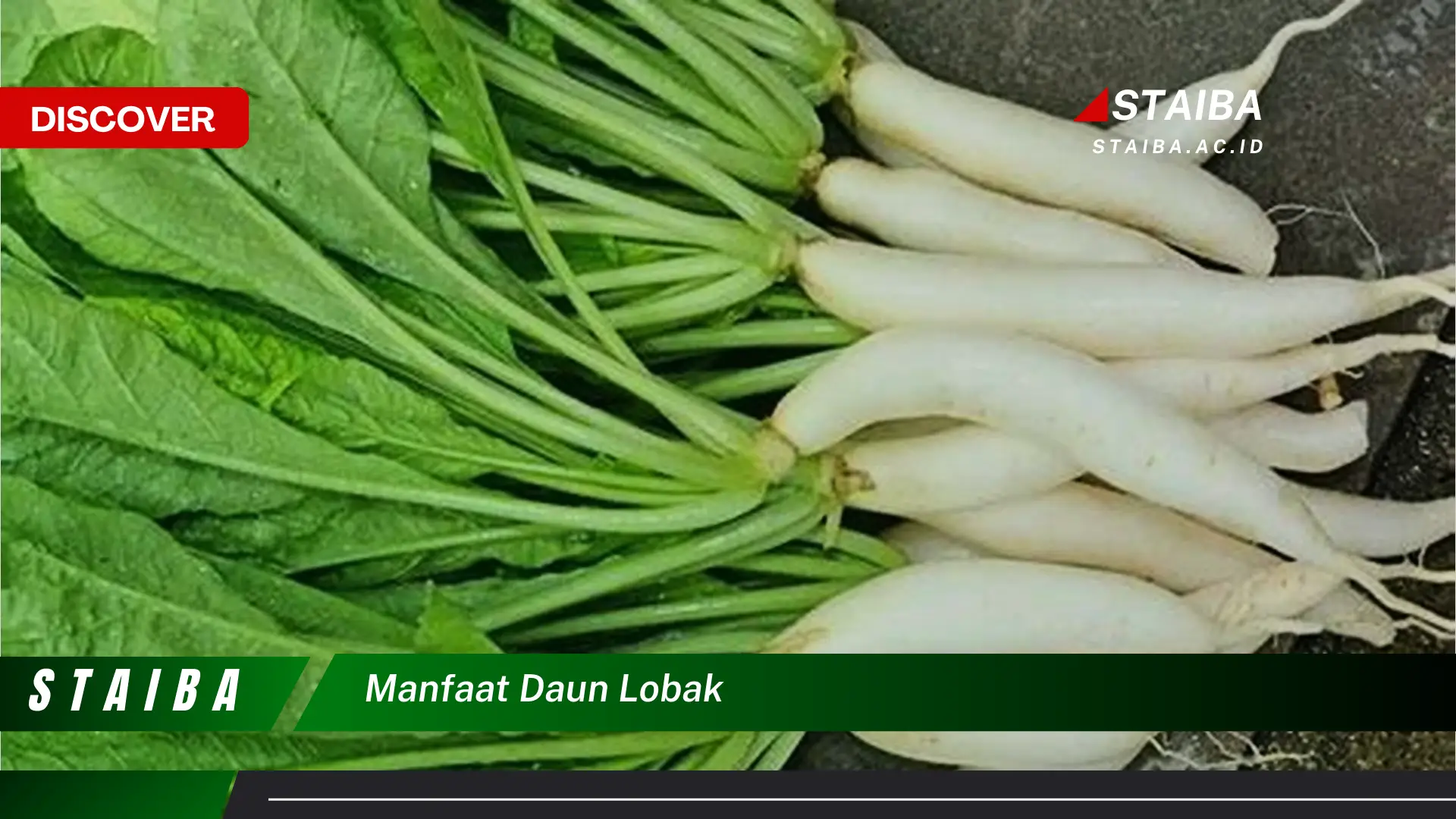 Ketahui 10 Manfaat Daun Lobak untuk Kesehatan, Dari Nutrisi hingga Pengobatan Tradisional