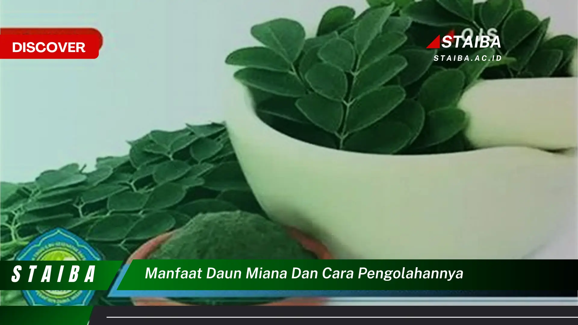 Ketahui 8 Manfaat Daun Miana untuk Kesehatan dan Cara Mengolahnya Secara Alami Ketahui 8 Manfaat Daun Miana untuk Kesehatan dan Cara Mengolahnya Secara Alami