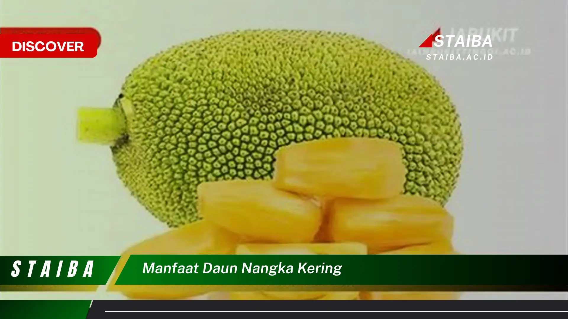 Ketahui 10 Manfaat Daun Nangka Kering untuk Kesehatan Anda