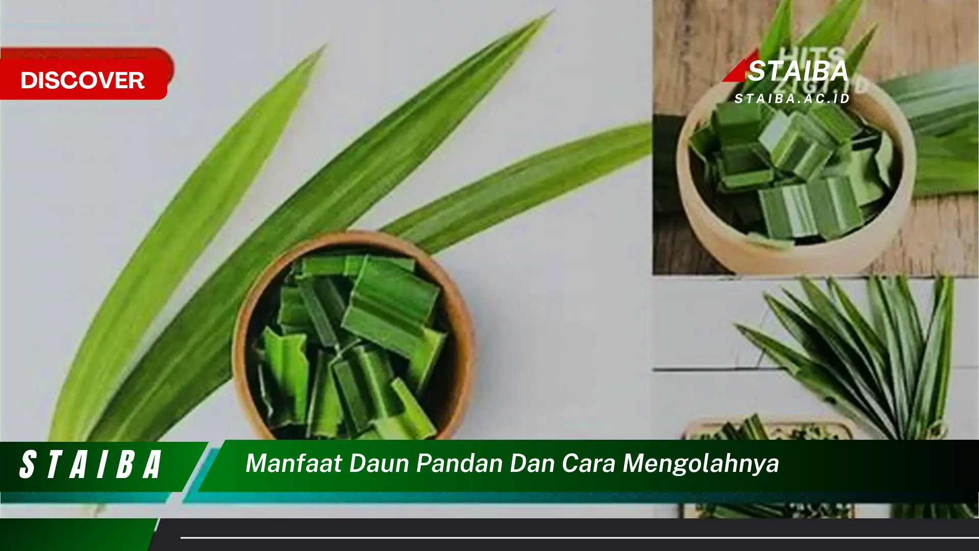 Ketahui 9 Manfaat Daun Pandan untuk Kesehatan dan Cara Mengolahnya Menjadi Obat Alami