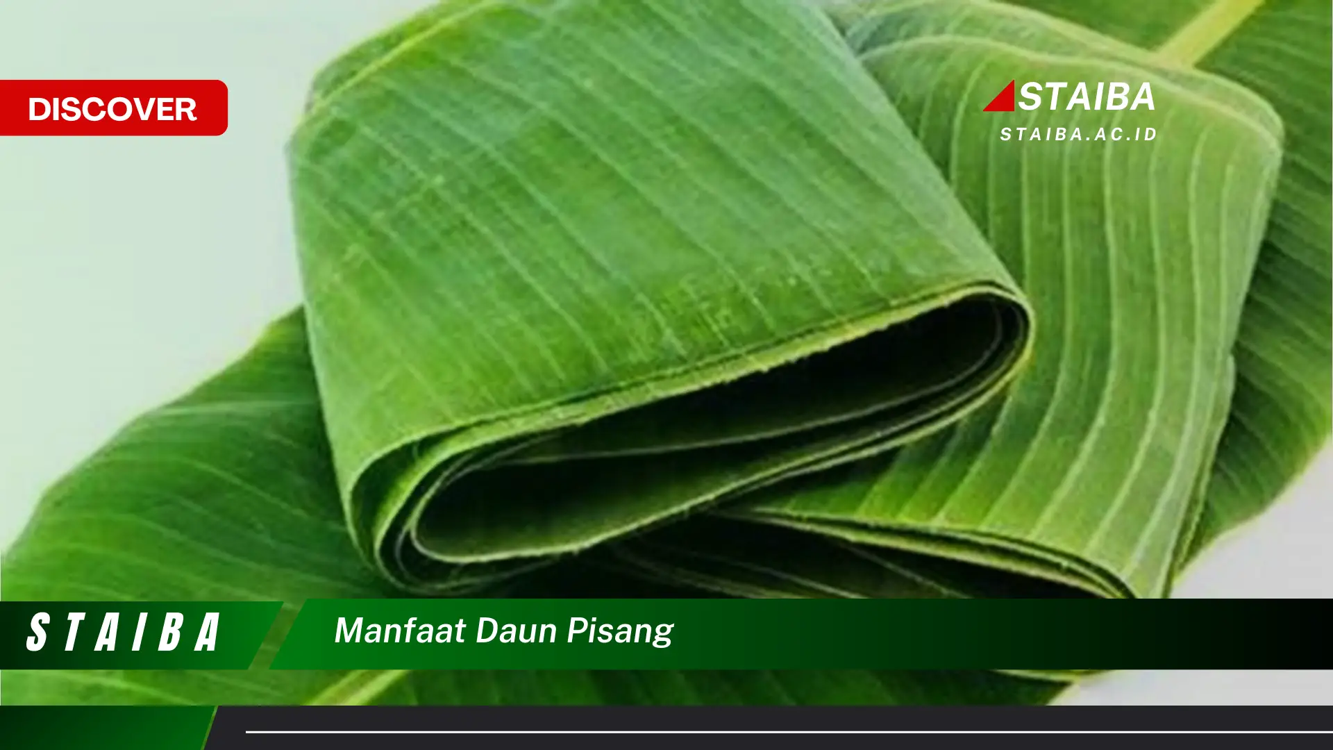 Ketahui 7 Manfaat Daun Pisang yang Jarang Diketahui