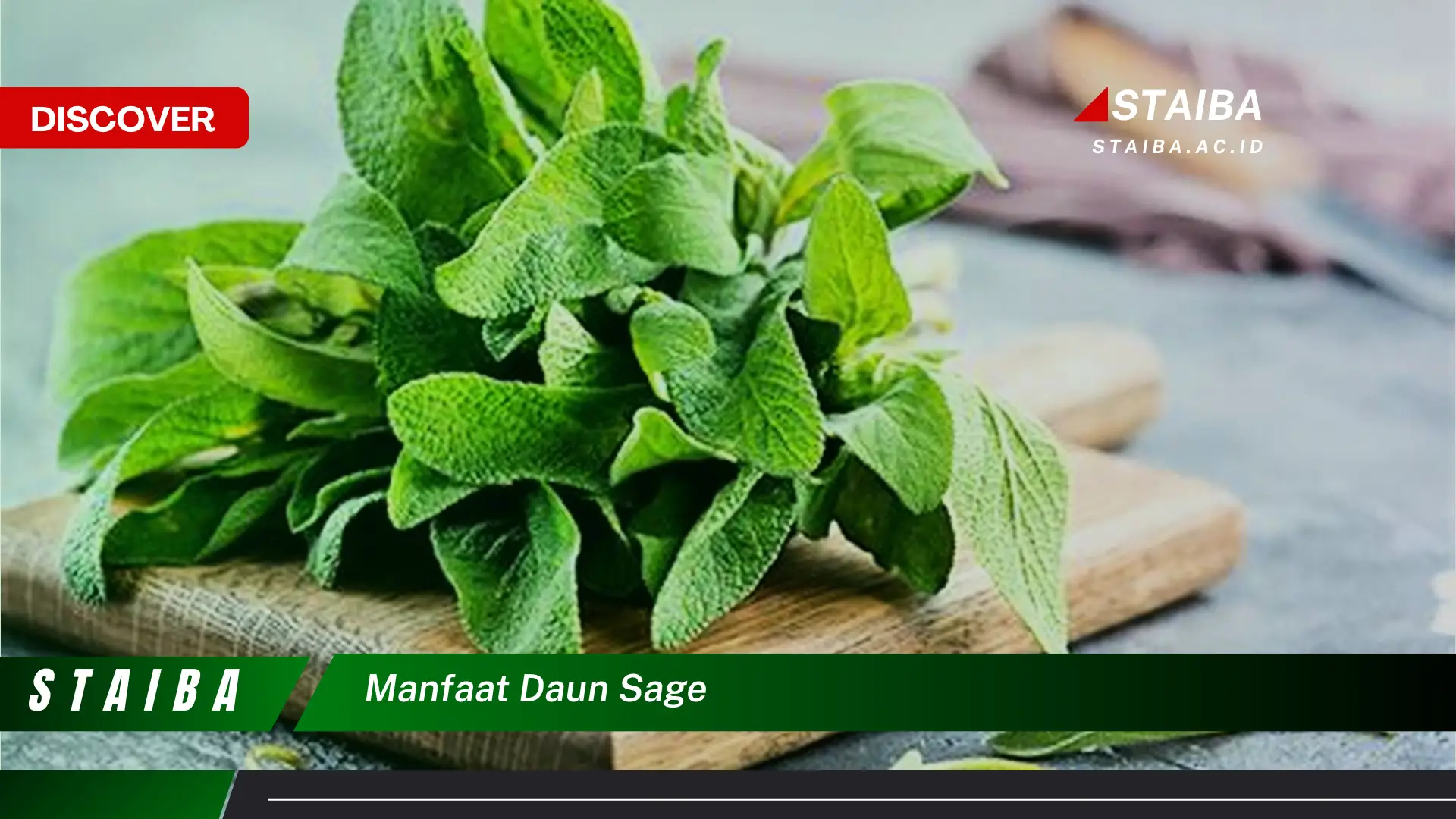 Ketahui 8 Manfaat Daun Sage untuk Kesehatan, Kecantikan, dan Masakan Ketahui 8 Manfaat Daun Sage untuk Kesehatan, Kecantikan, dan Masakan