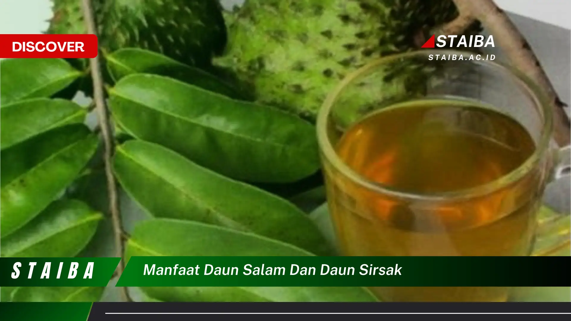 Ketahui 8 Manfaat Daun Salam dan Daun Sirsak untuk Kesehatan Anda