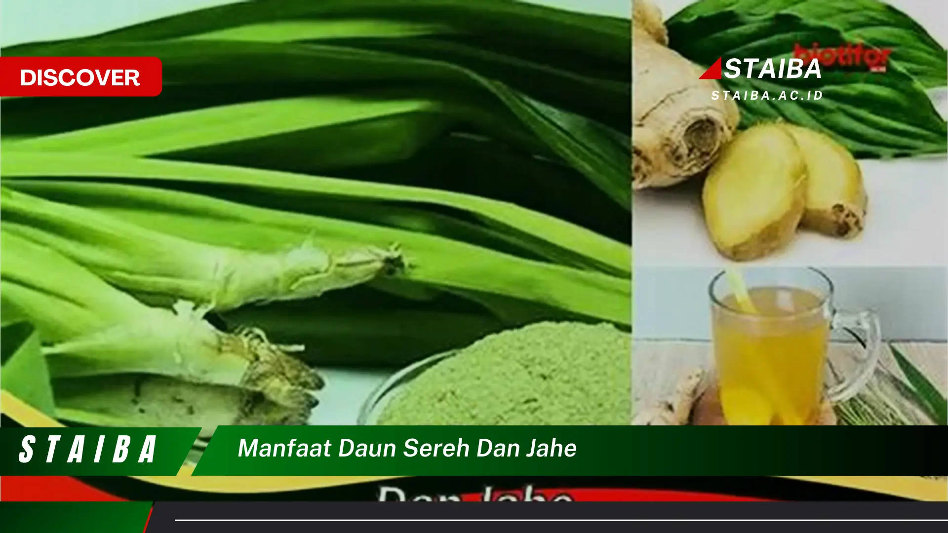 Ketahui 9 Manfaat Daun Sereh dan Jahe untuk Kesehatan Anda
