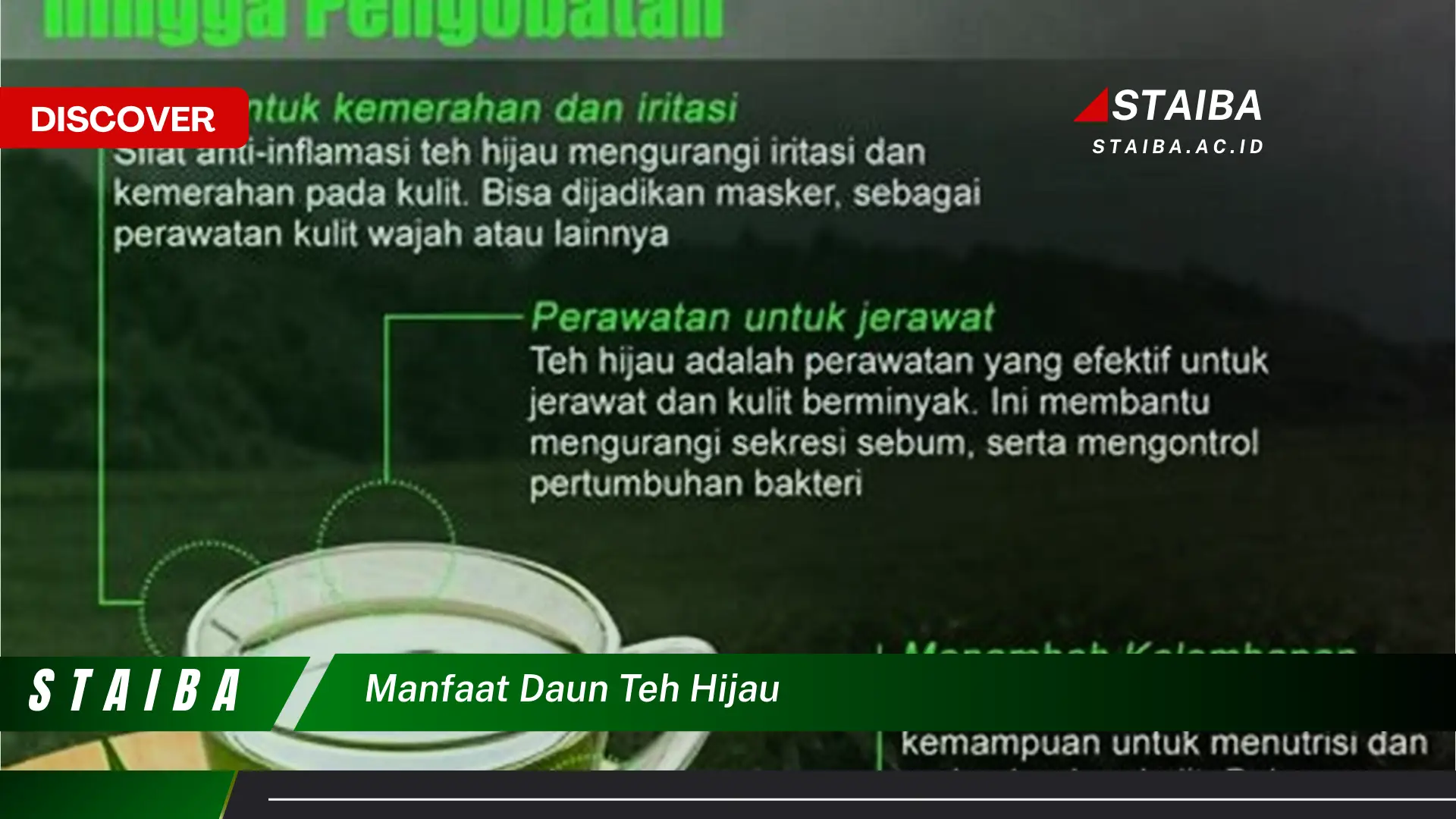 Ketahui 8 Manfaat Daun Teh Hijau untuk Kesehatan Tubuh Anda