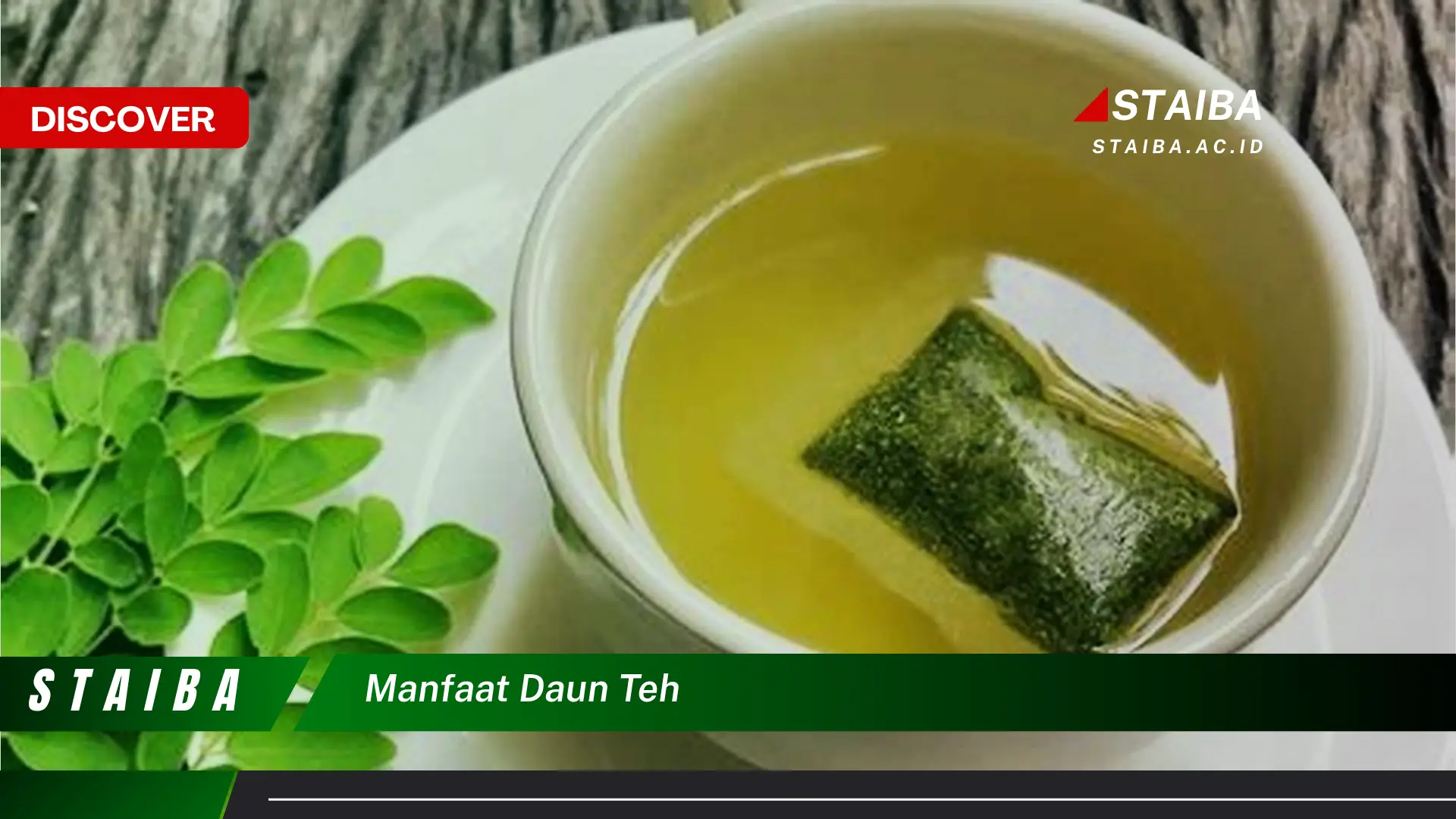 Ketahui 8 Manfaat Daun Teh untuk Kesehatan Tubuh dan Pikiran Anda