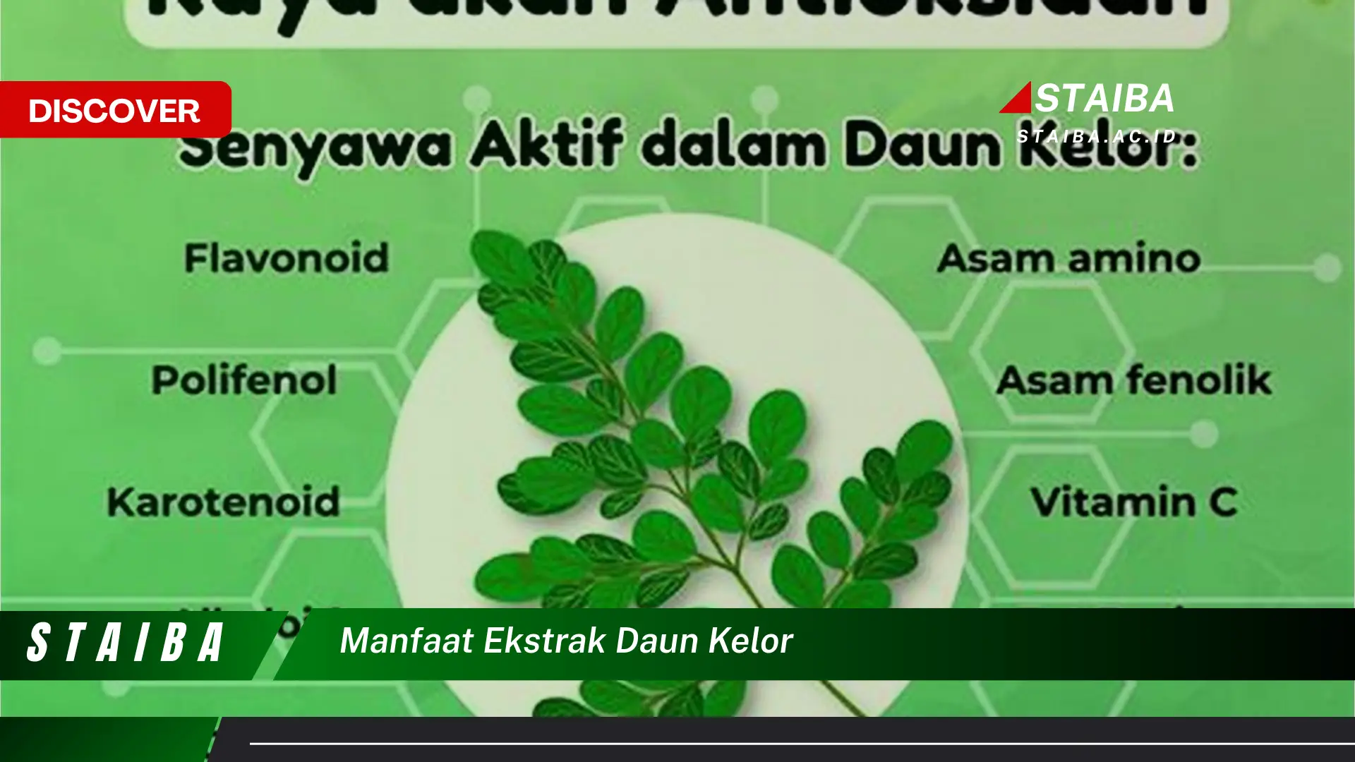 Ketahui 8 Manfaat Ekstrak Daun Kelor untuk Kesehatan Tubuh Anda Ketahui 8 Manfaat Ekstrak Daun Kelor untuk Kesehatan Tubuh Anda
