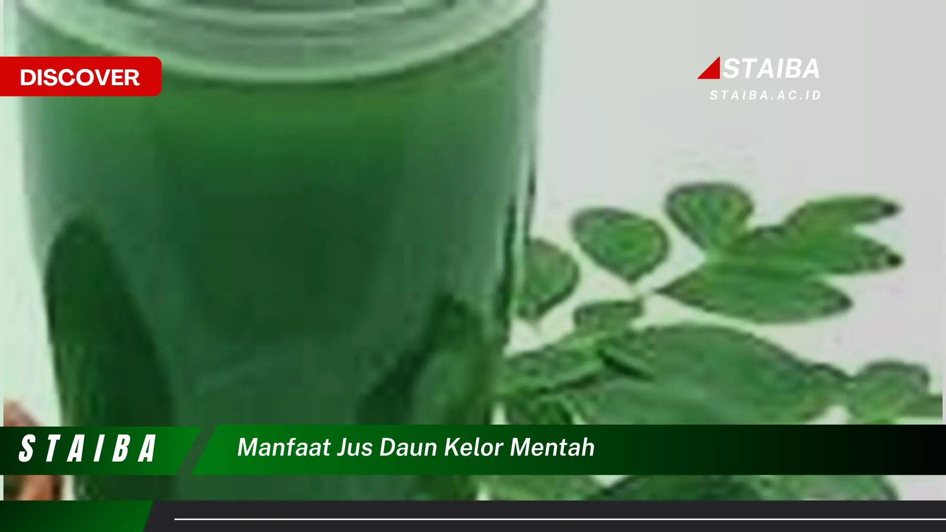 Ketahui 9 Manfaat Jus Daun Kelor Mentah untuk Kesehatan Tubuh Anda