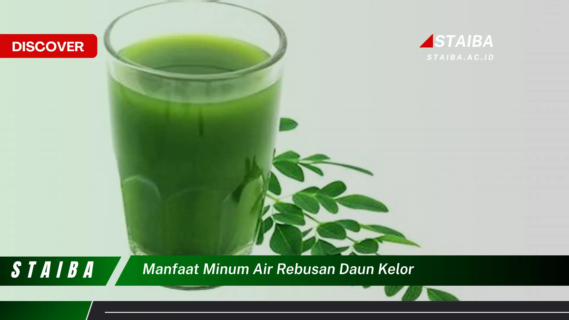 Ketahui 8 Manfaat Minum Air Rebusan Daun Kelor untuk Kesehatan Anda