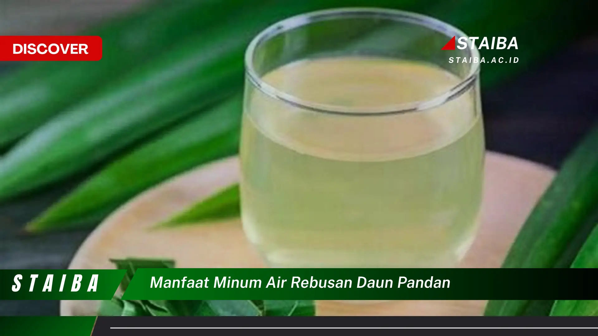 Ketahui 9 Manfaat Minum Air Rebusan Daun Pandan untuk Kesehatan Tubuh Anda Ketahui 9 Manfaat Minum Air Rebusan Daun Pandan untuk Kesehatan Tubuh Anda