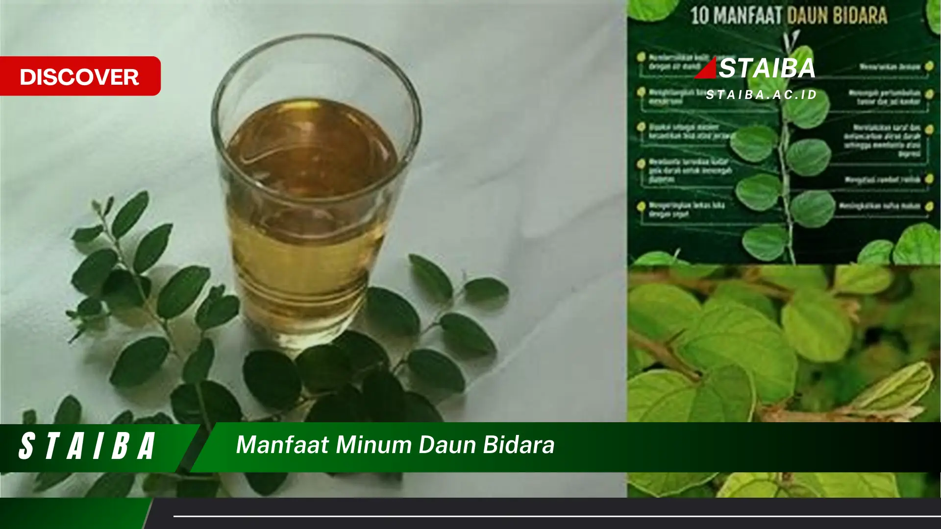 Ketahui 9 Manfaat Minum Daun Bidara untuk Kesehatan Tubuh Anda